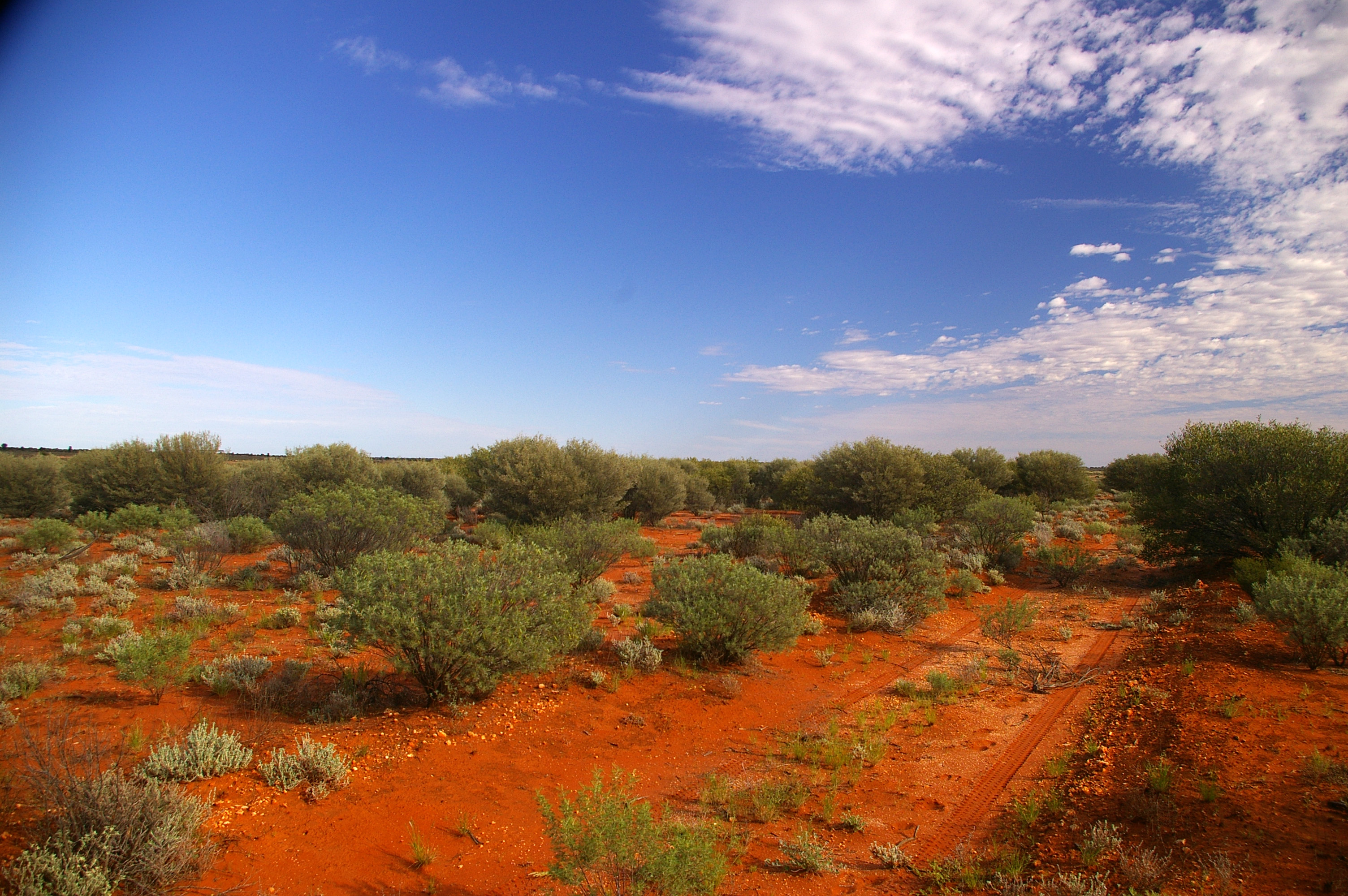 Landscape at former British nuclear test site, en:Maralinga, South Australia. Maralinga, South Australia, is the former British nuclear test site. I worked at the site during the Maralinga Rehabilitation Project where contaminated radioactive material was cleaned up.