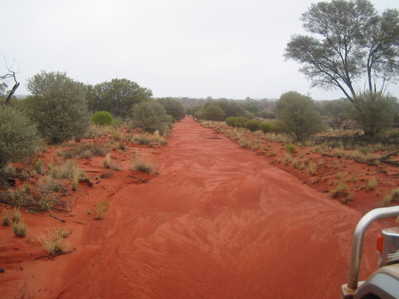 Photo of Anne Beadell Highway, taken on 2 January 2006, a day after unusually heavy rain
If you have a better image (like one taken on a sunny day), feel free to update