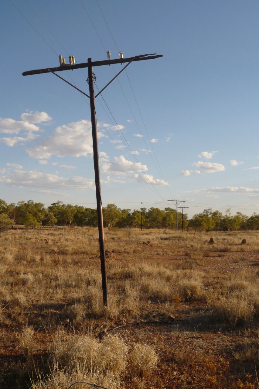 Telegraph poles near the Tennant Creek Telegraph Station