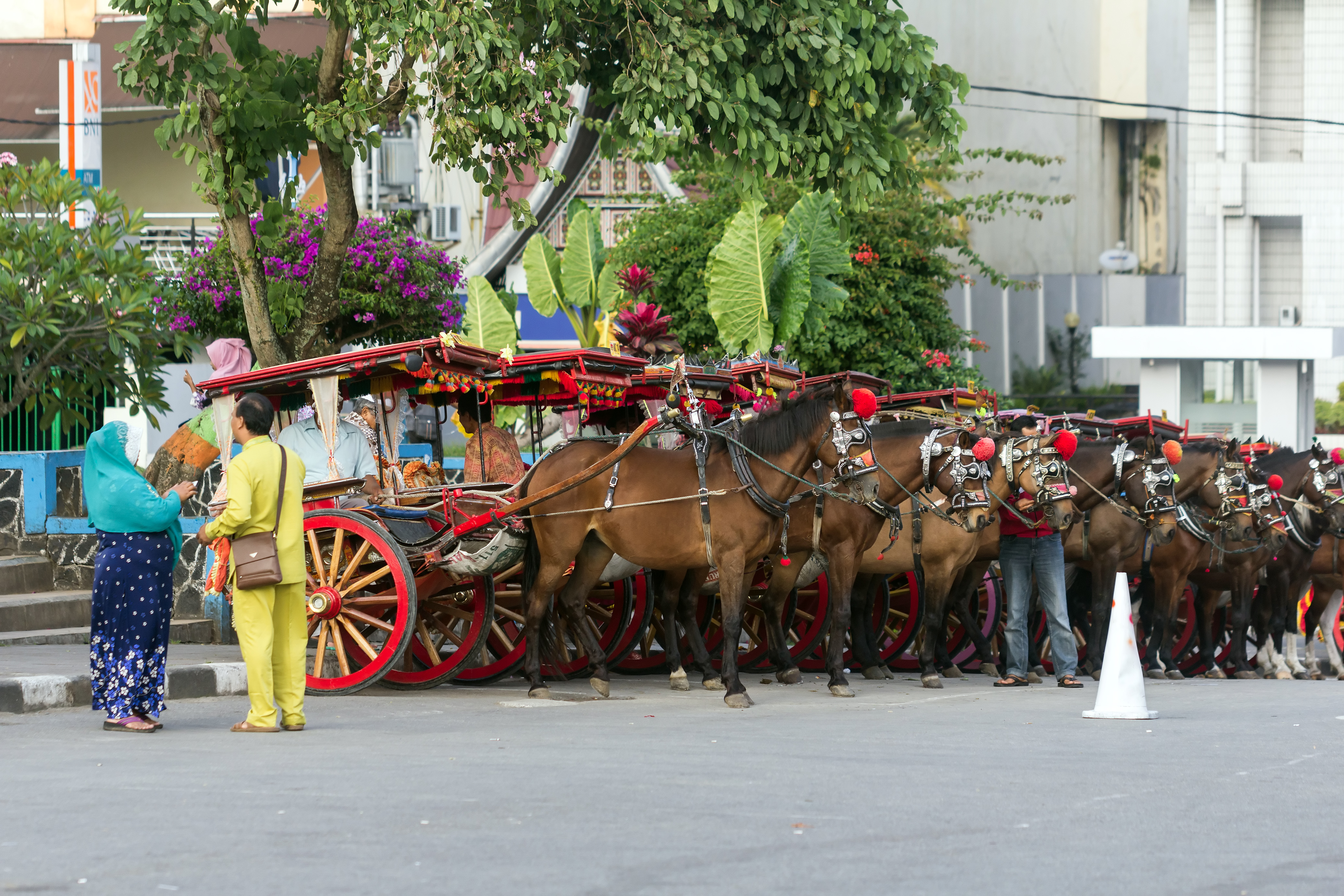 Row of bendi carriages, Jam Gadang plaza, Bukittinggi, 2017-02-12