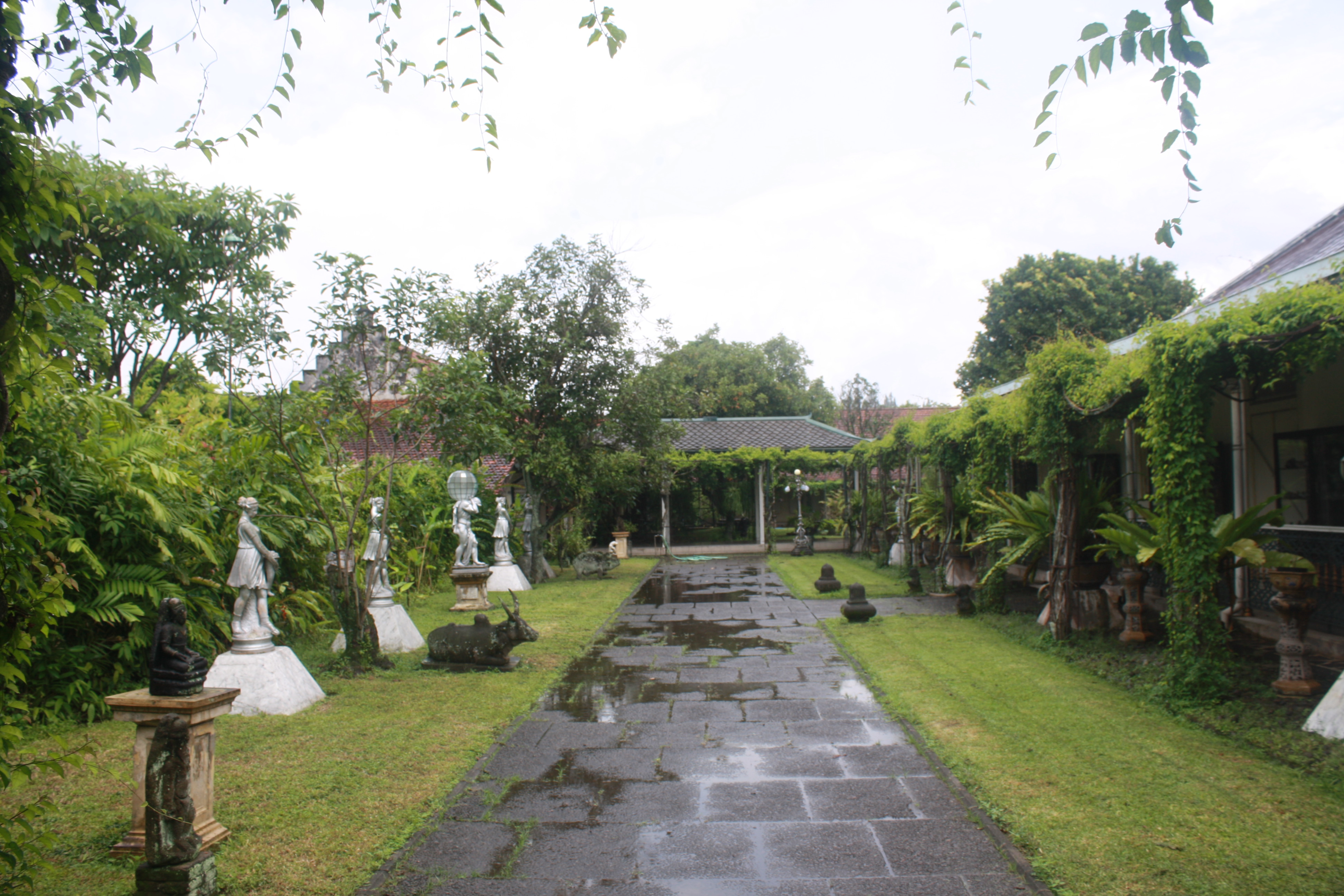 Salah satu sudut taman hijau di lingkungan bagian dalam Pura Mangkunegaran, Surakarta.