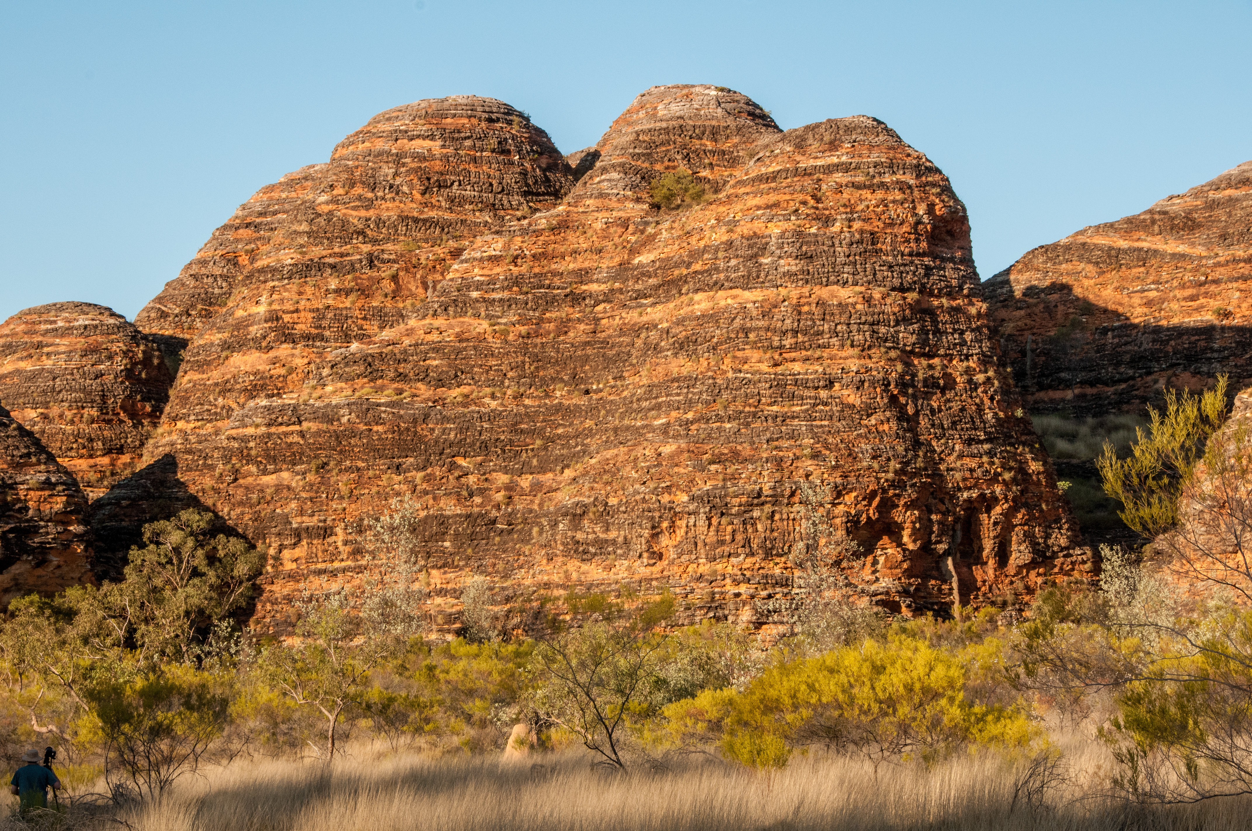 In the Bungle Bungles
