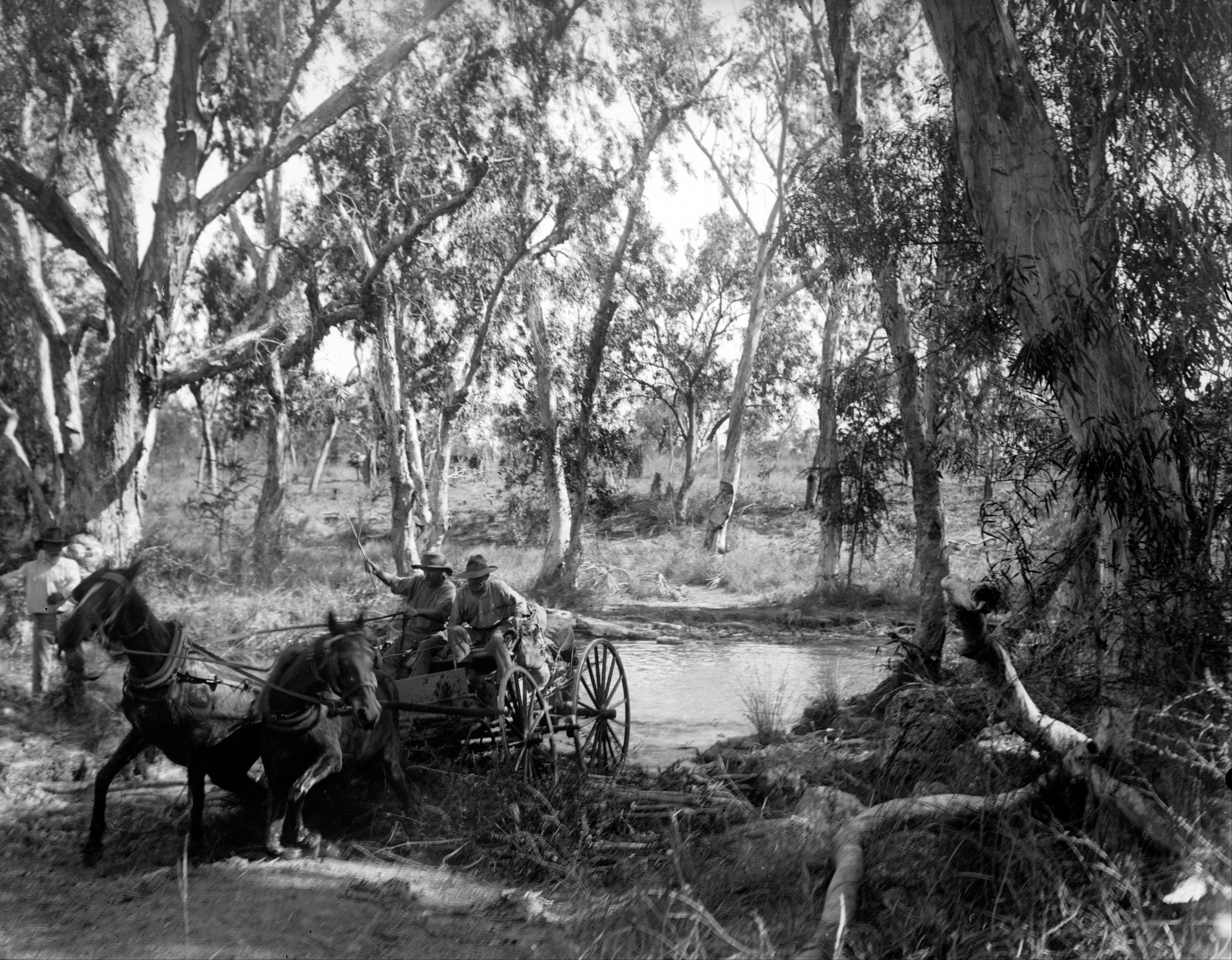 Walter Baldwin Spencer - Crossing Salt Creek near the Roper River, Eastern Arnhem Land, Australia, July 1911 - Google Art Project.jpg