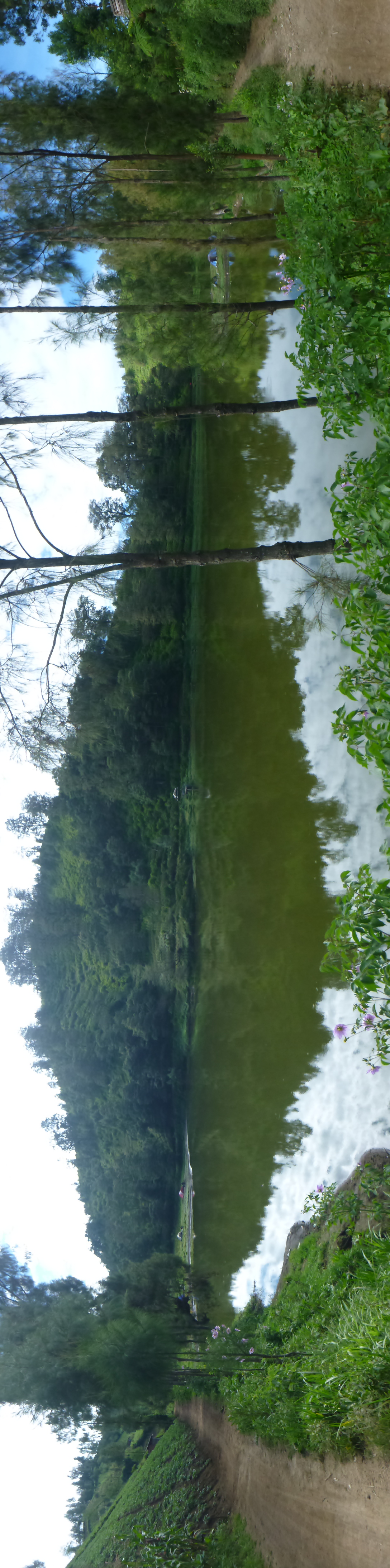 Panorama of Ranu Pani, 8 June 2014