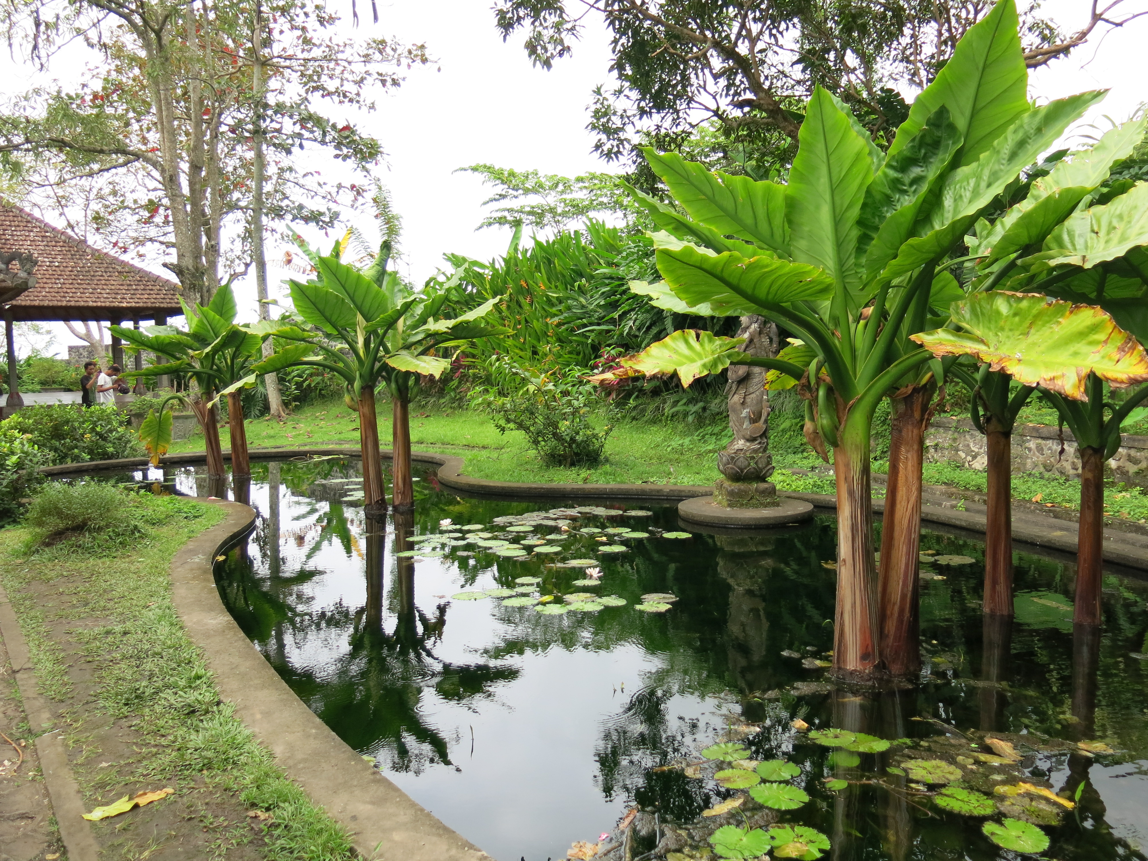 Pond at Tirta Gangga water palace