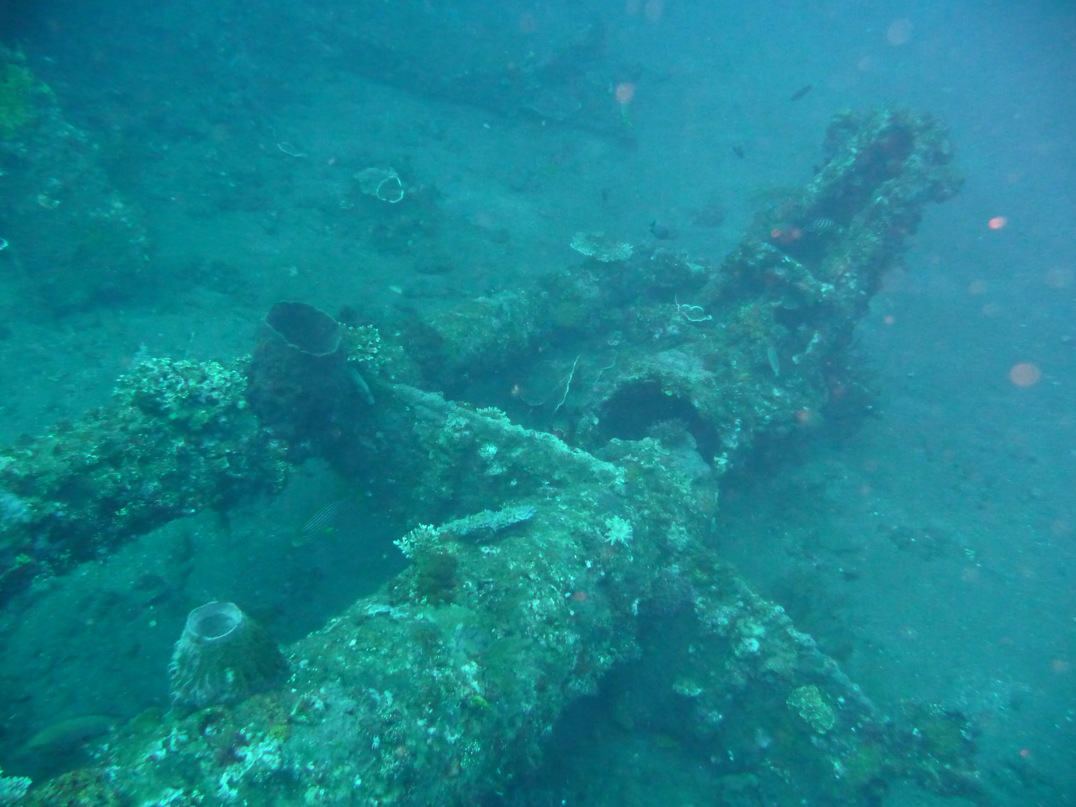crane of USAT Liberty wreck