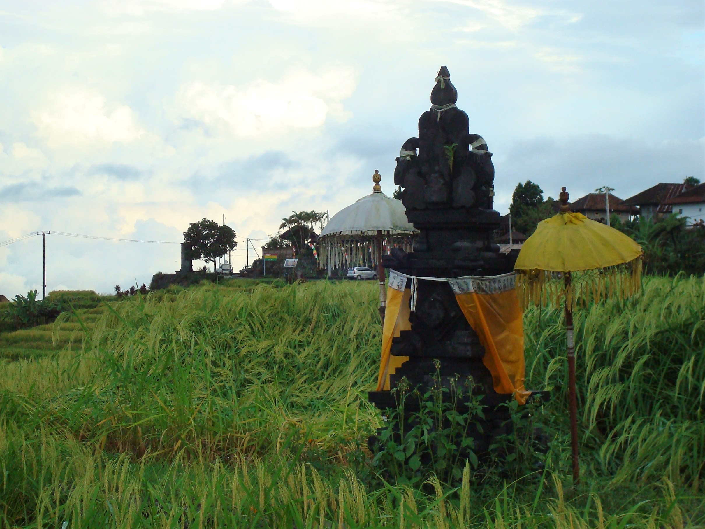 Balinese altar at Rice terraces of Gunung Batukaru. This Subak landscape is a UNESCO World Heritage Site since 2012.