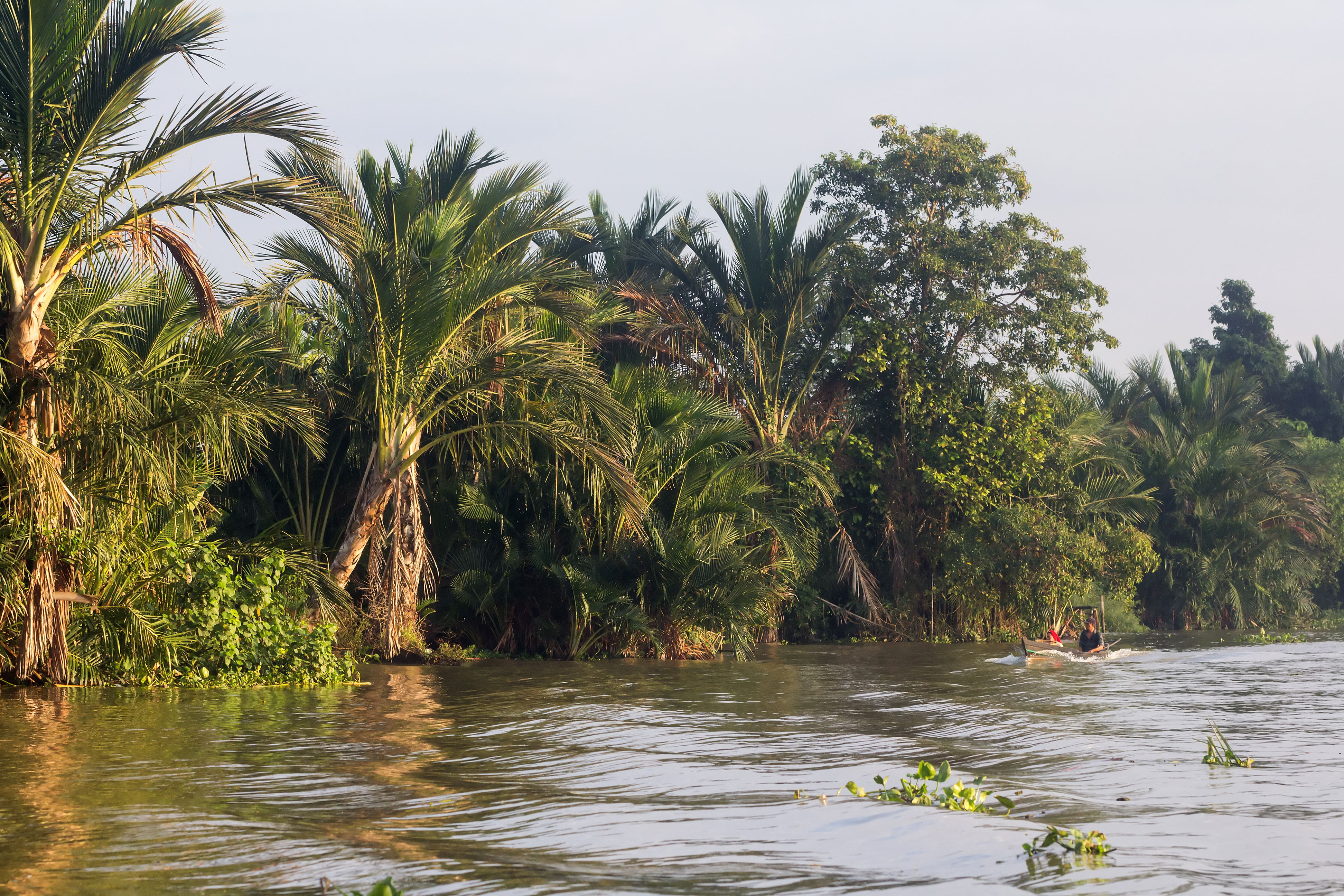 Banks of Martapura River, South Kalimantan, 2018-07-28. A man in a small boat is visible to the lower left.