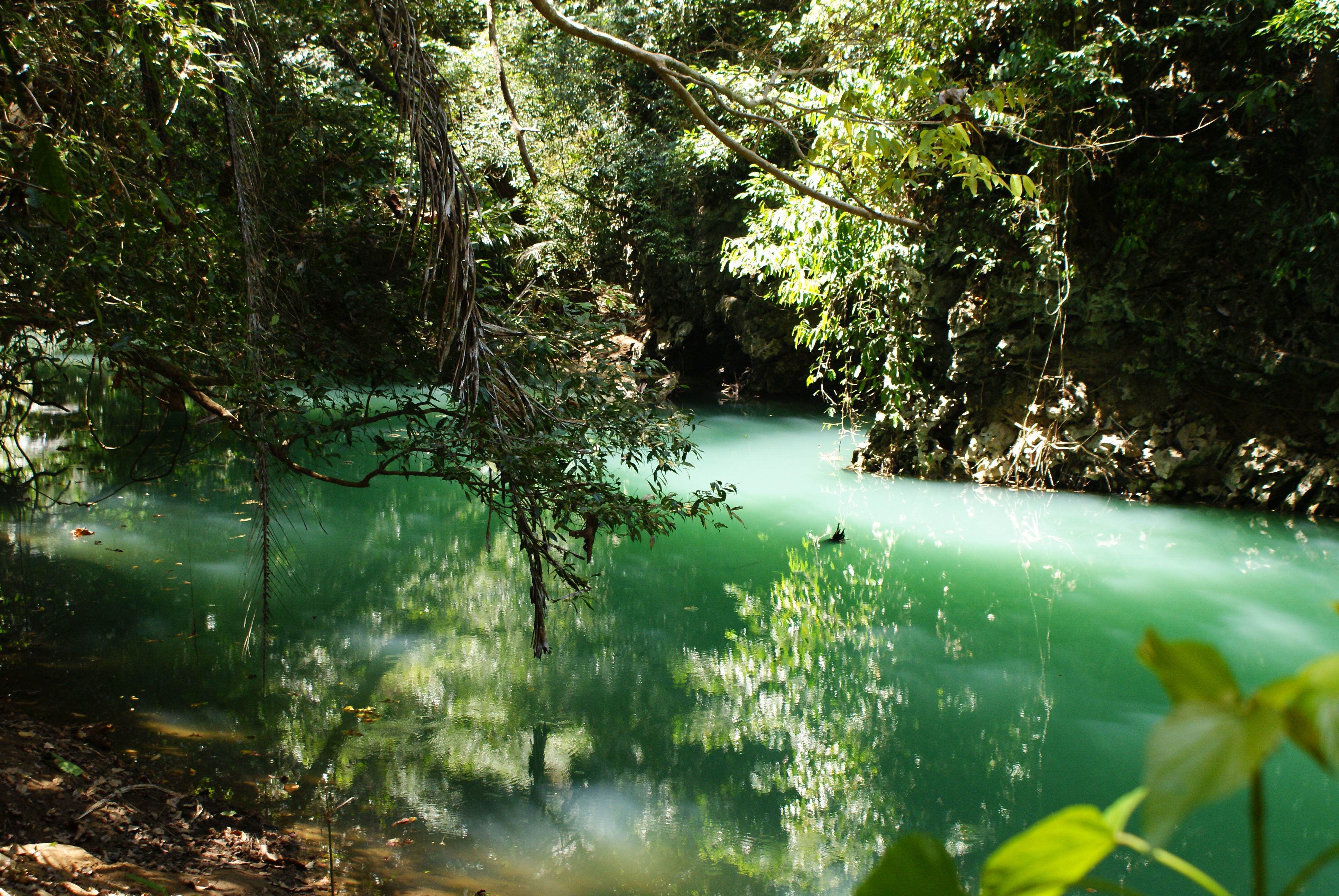 Green river, Bantimurung National Park