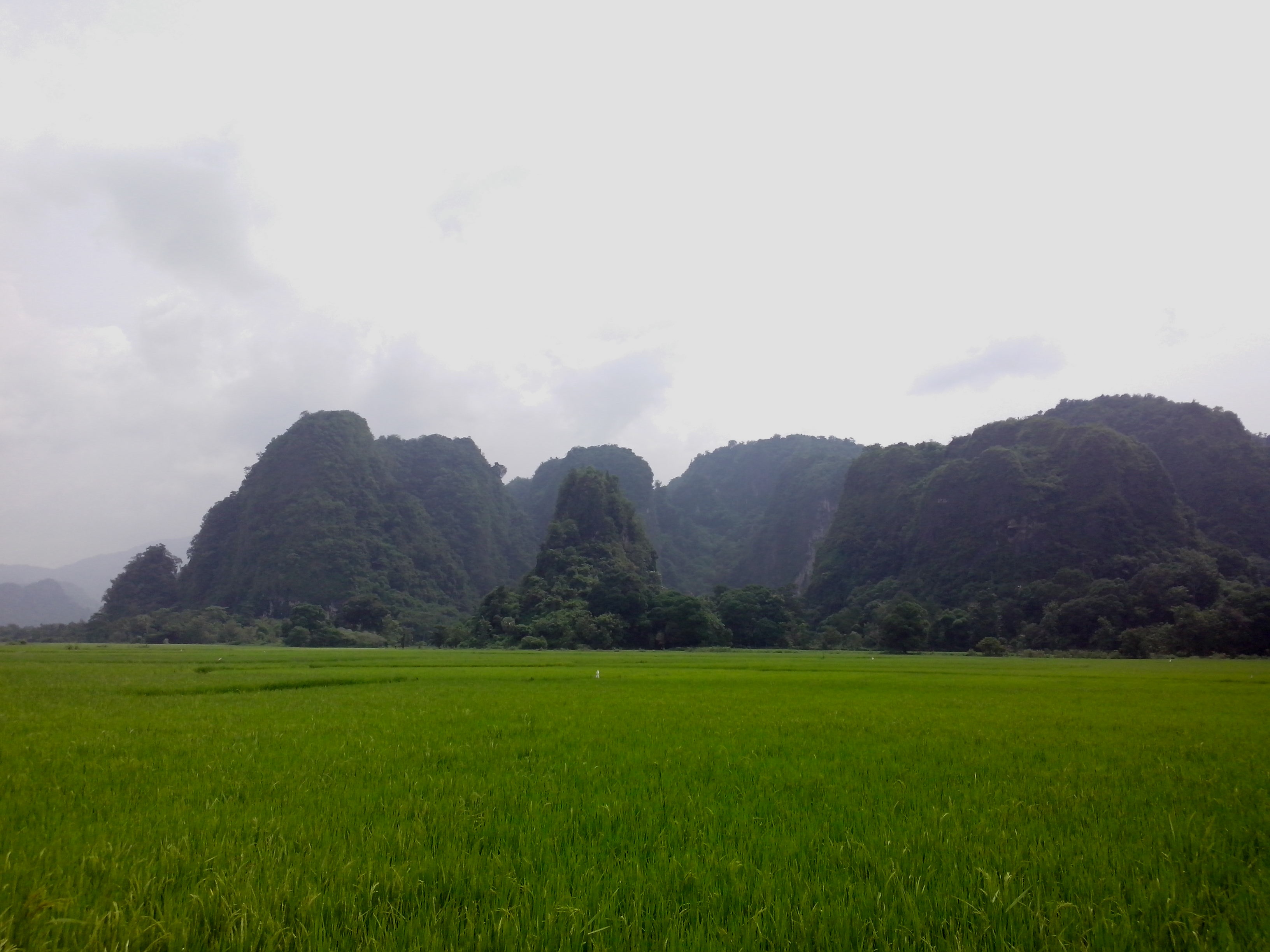 Karst Mountain in Maros as seen from the road to Leang-Leang Prehistoric Caves site.