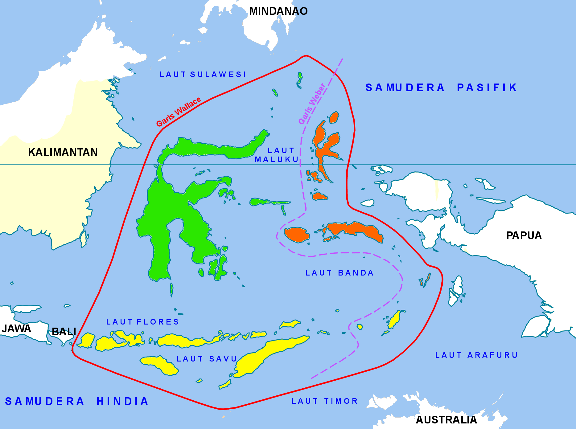 Subkawasan dalam biogeografi kawasan Wallacea
Subkawasan Sulawesi: Pulau Sulawesi, Kepulauan Talaud, Sangihe, Togian, dan Sula
Subkawasan Maluku: Pulau Morotai, Halmahera, Bacan, Obi, Buru, Ambon, dan Seram
Subkawasan Nusa Tenggara: Pulau Lombok, Sumbawa, Flores, Sumba, Timor, dan Kepulauan Tanimbar