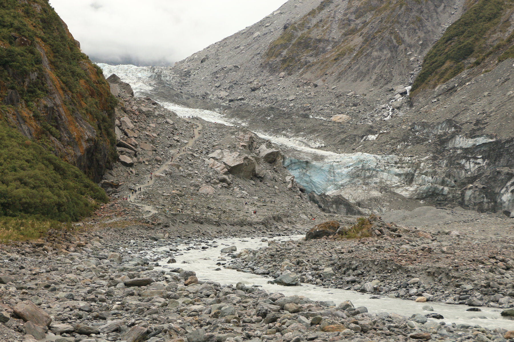 A view from below Fox Glacier in February 2013 showing the track used by the guided tours and to a public viewpoint (centre of the image). The limit of vegetation on the right (southern) slope marks the temporary maximum height of the glacier around 2009.