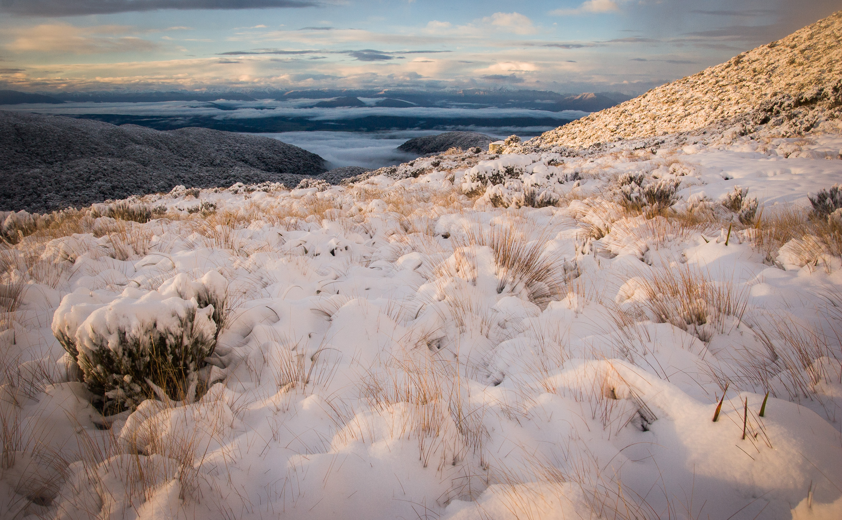 View from Ces Clark Hut on the Croesus Track, part of the Paparoa Track. In the Paparoa National Park on the West Coast of New Zealand's South Island.