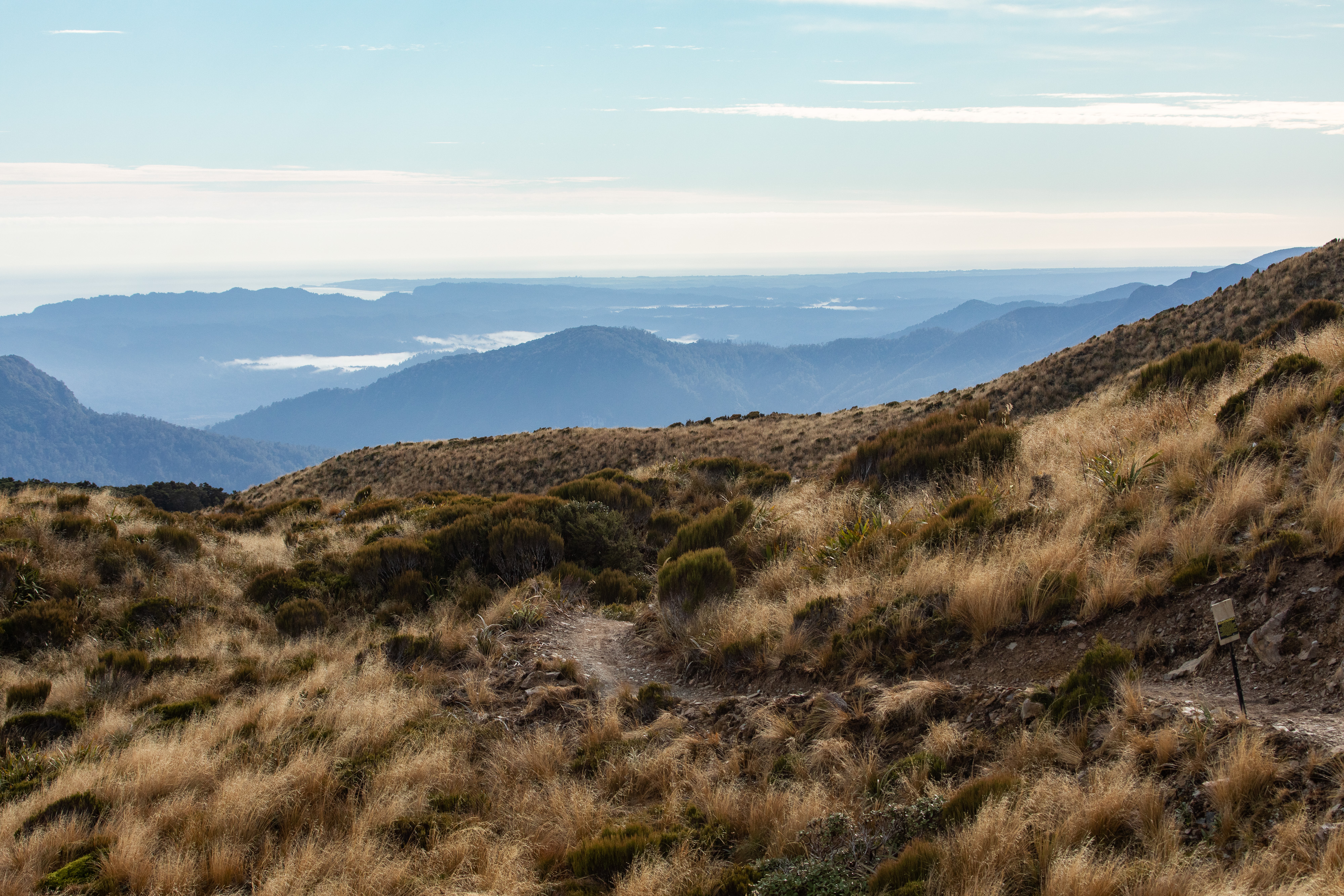 Moonlight Tops on the Paparoa Track, Paparoa National Park on the West Coast of New Zealand's South Island.