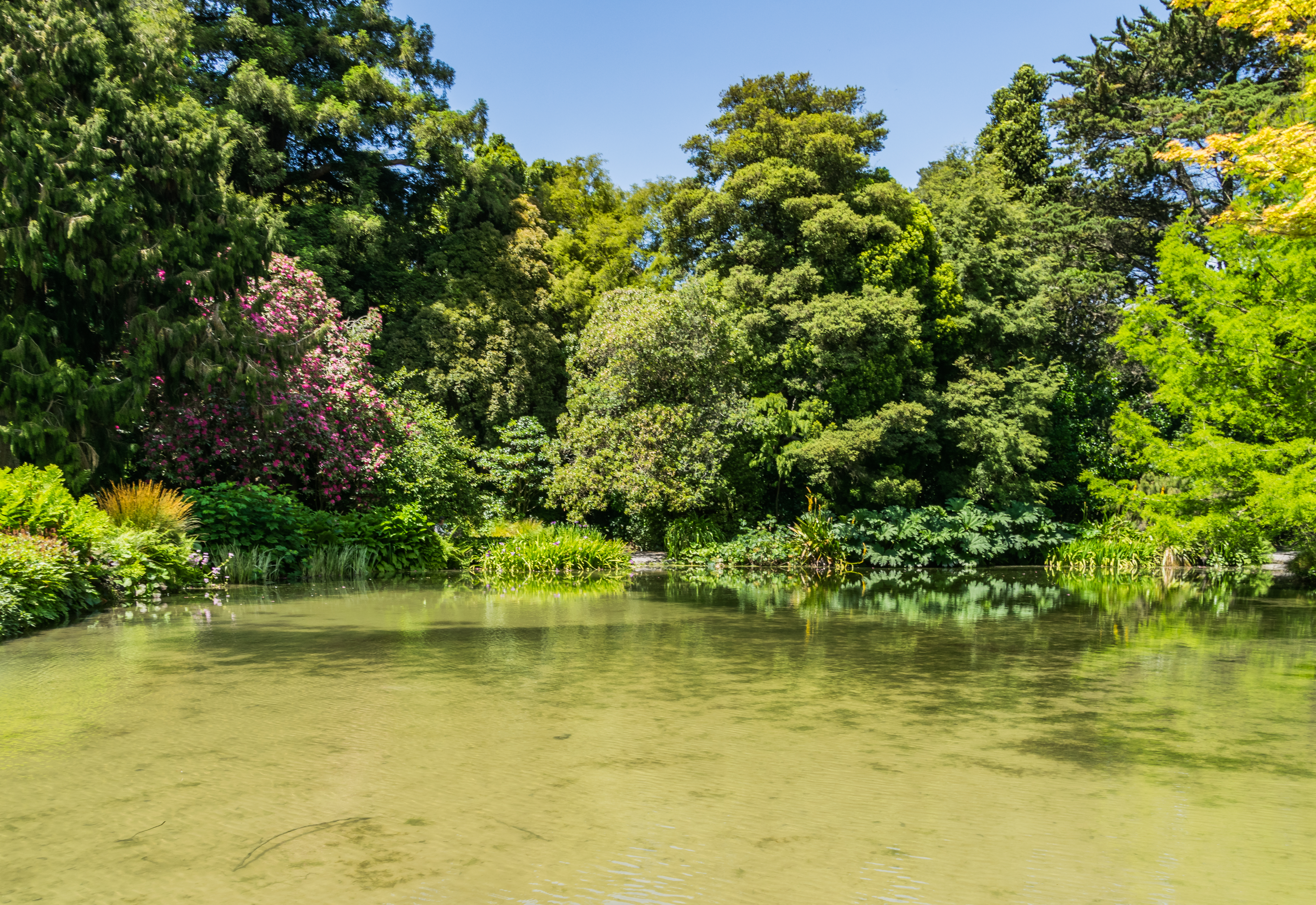 Christchurch Botanic Gardens in Christchurch, Canterbury Region, South Island of New Zealand