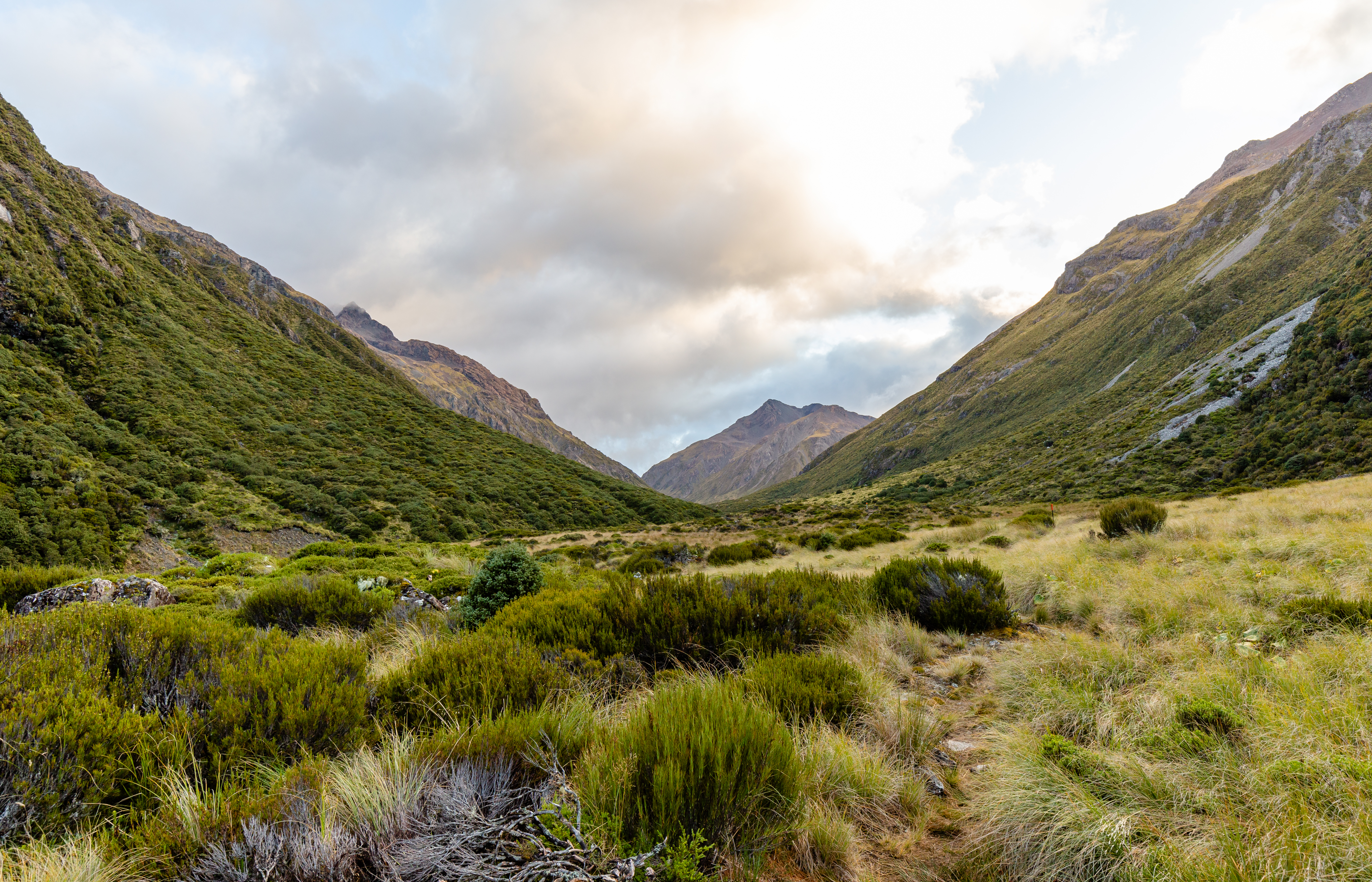 Edwards Valley, Arthur's Pass National Park, New Zealand