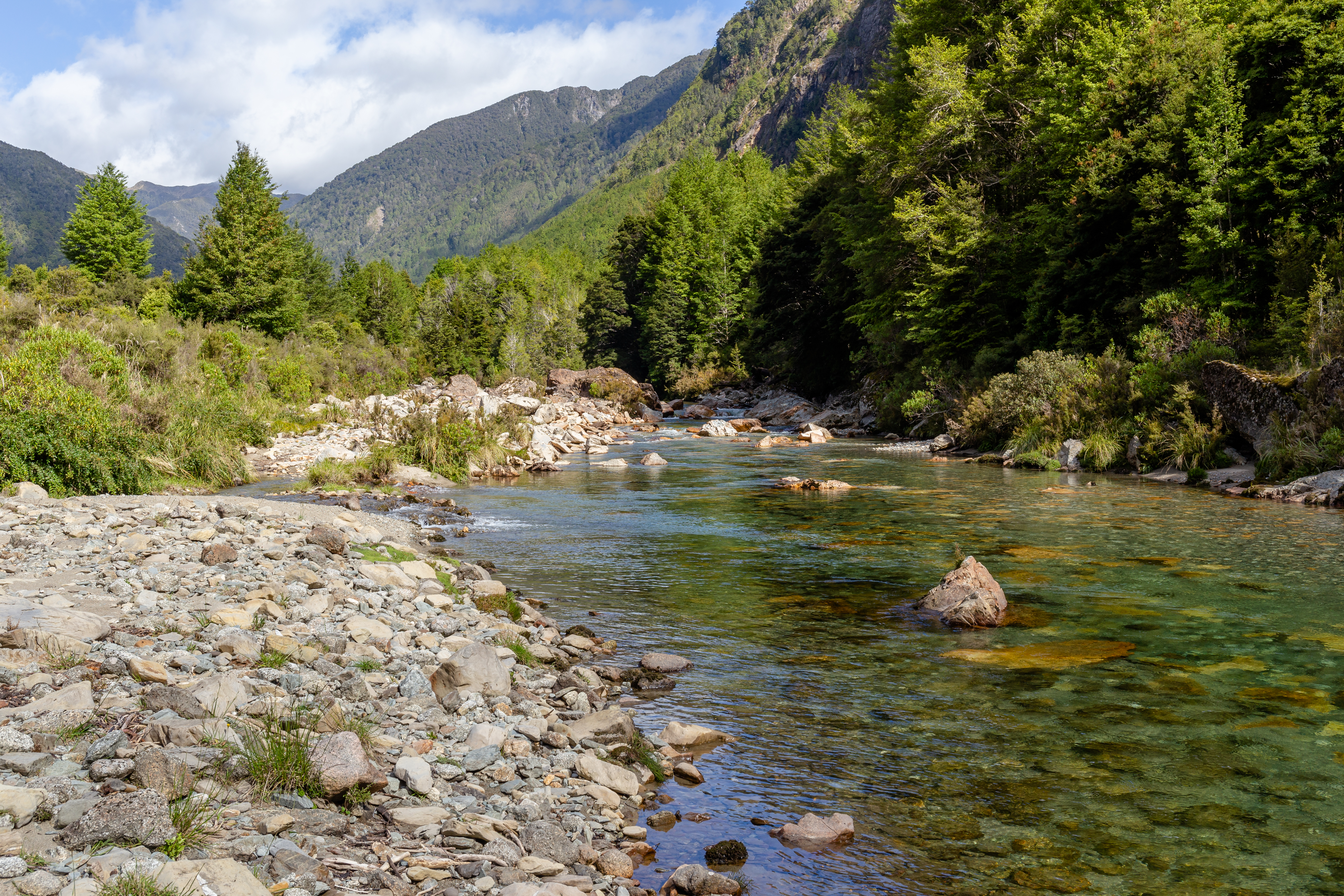 Karamea River, Wangapeka Track, Kahurangi National Park, New Zealand