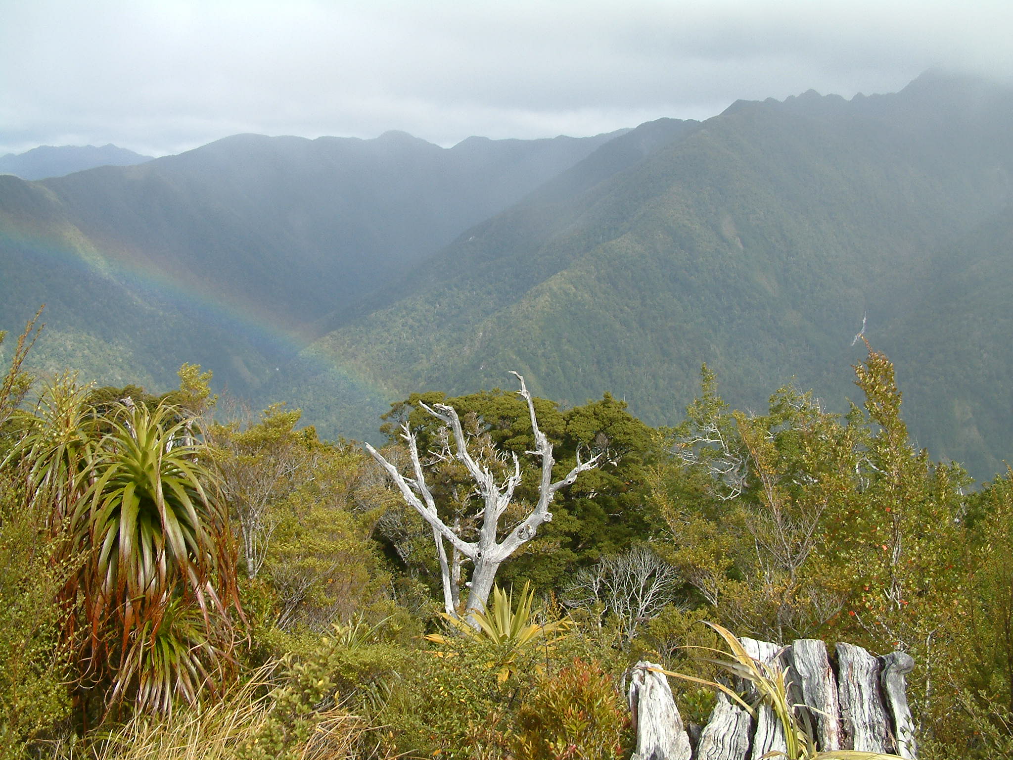 The sight on the surrounding mountains near the highest point of the Heaphy Track, South Island, New Zealand