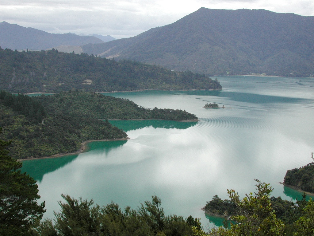 Te Mahia Bay - photo taken from Queen Charlotte Track
