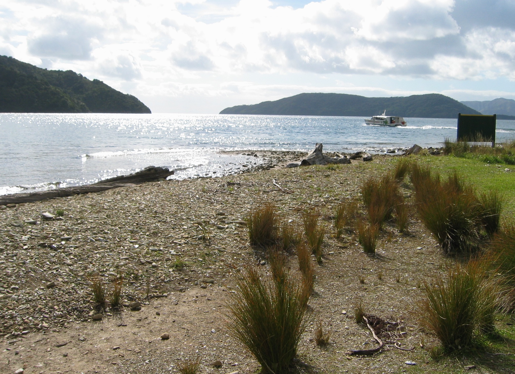 Ship Cove, Queen Charlotte Sound, New Zealand.