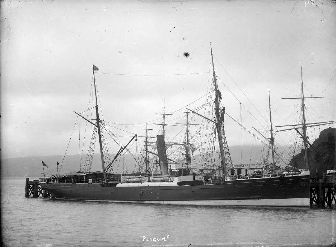 Steamship Penguin at Port Chalmers.
