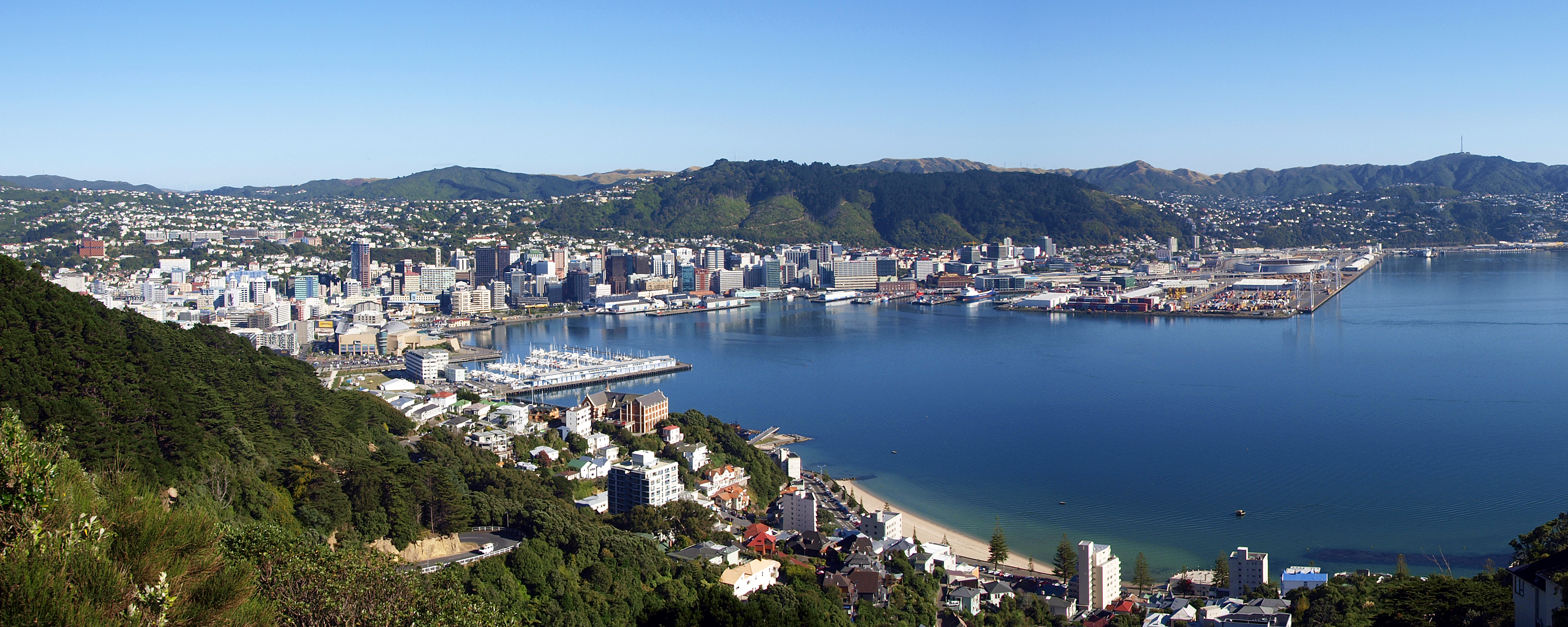 Wellington, New Zealand, panorama view to the city from hillside of Oriental Bay