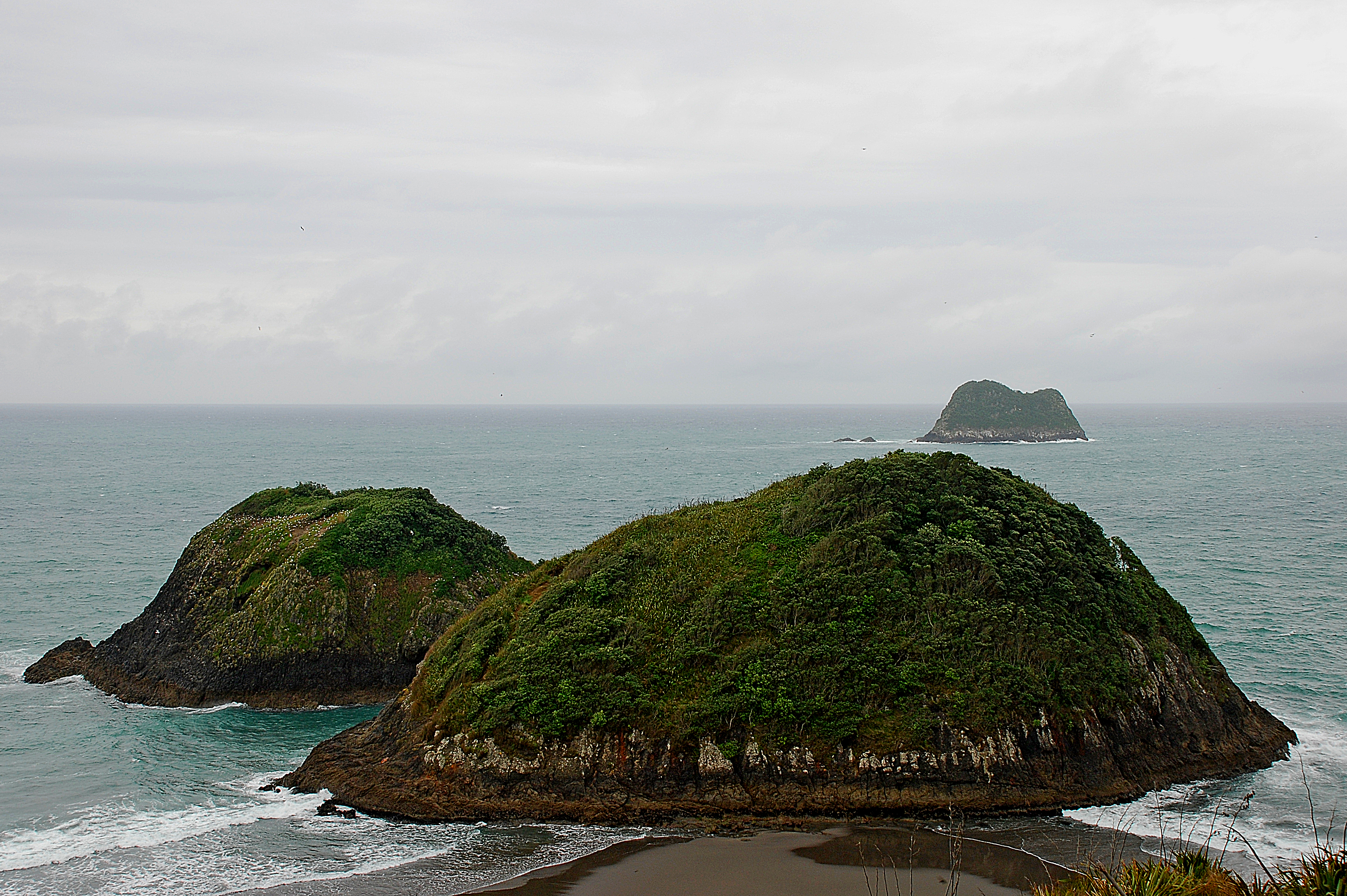 Ngā Motu / Sugar Loaf Islands, New Plymouth, Taranaki, New Zealand, 2006