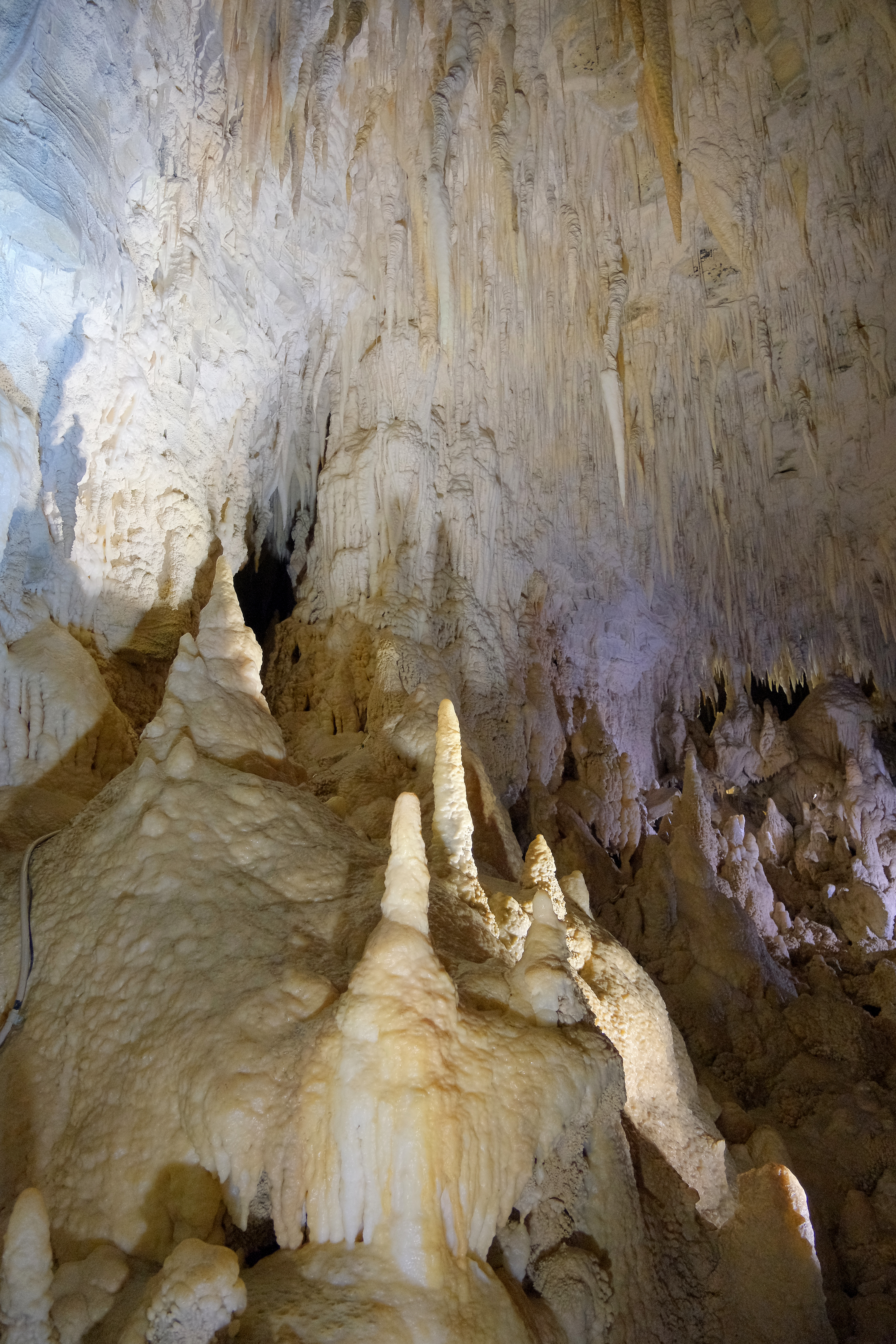 Lit up stalactites and stalagmites in Ruakuri Cave