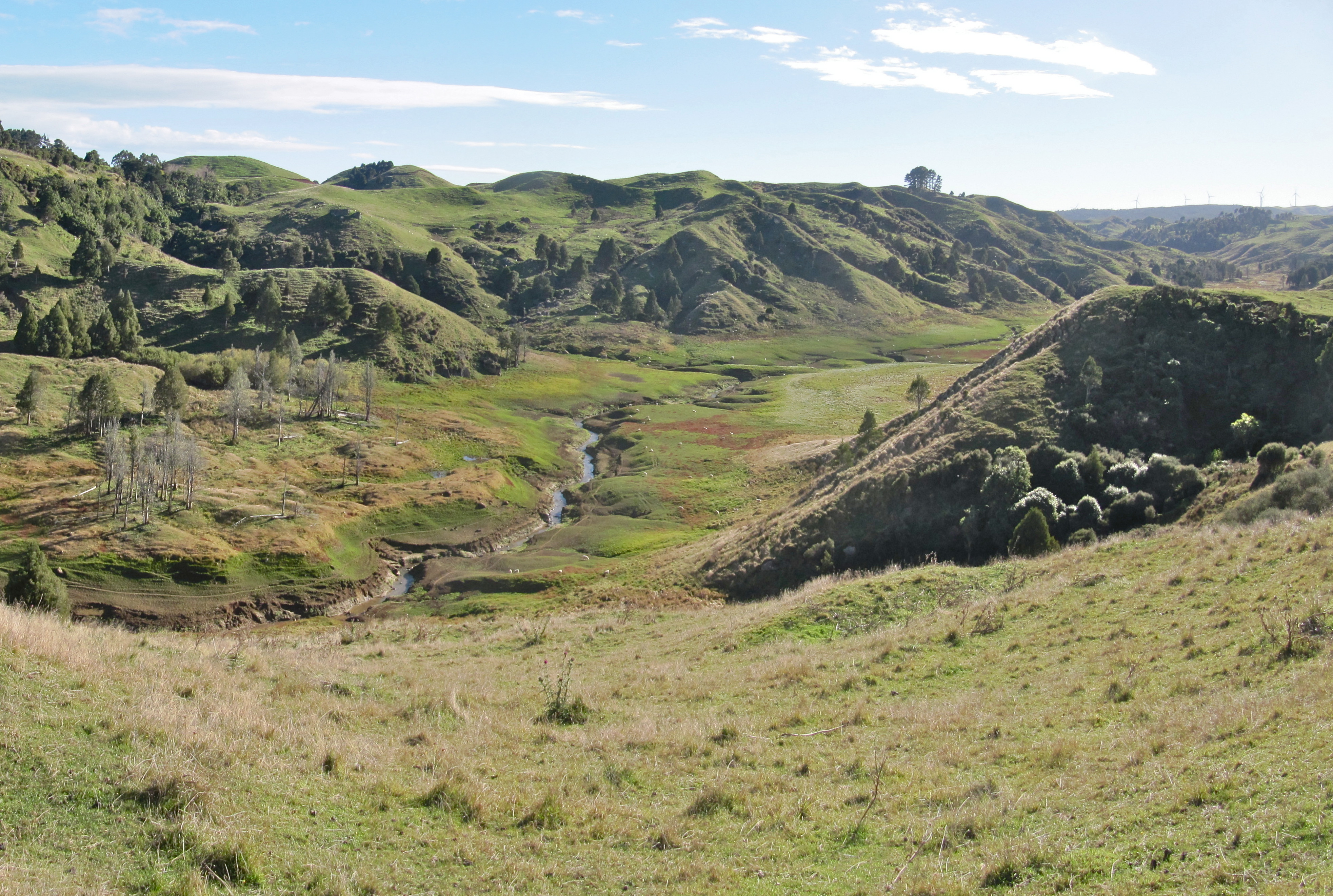 Pakihi Stream flowing through lake bed