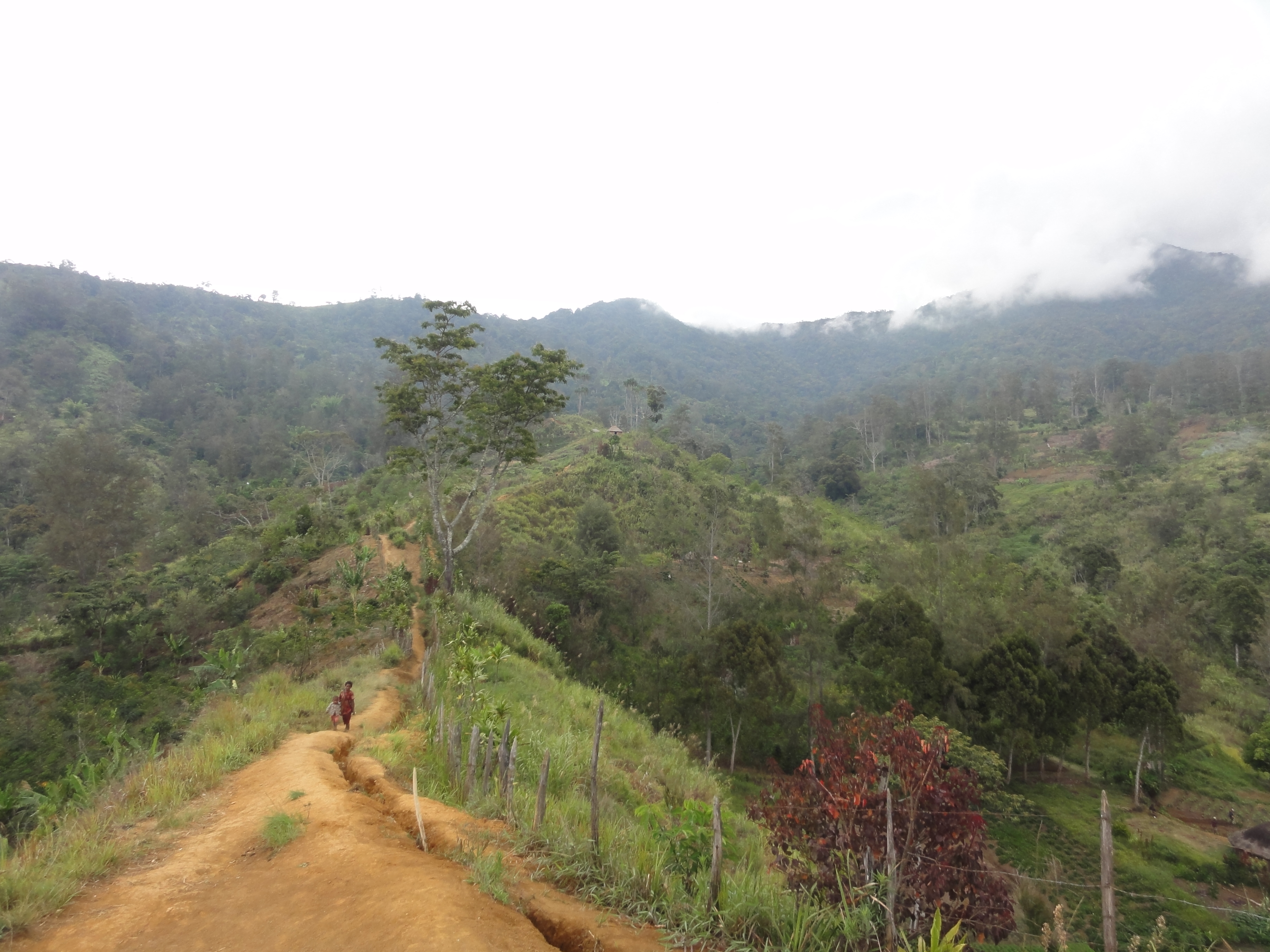 Learn more about Papua New Guinea on eGuide Travel where we did a review. A country of a million journeys and not a place with many tourists.