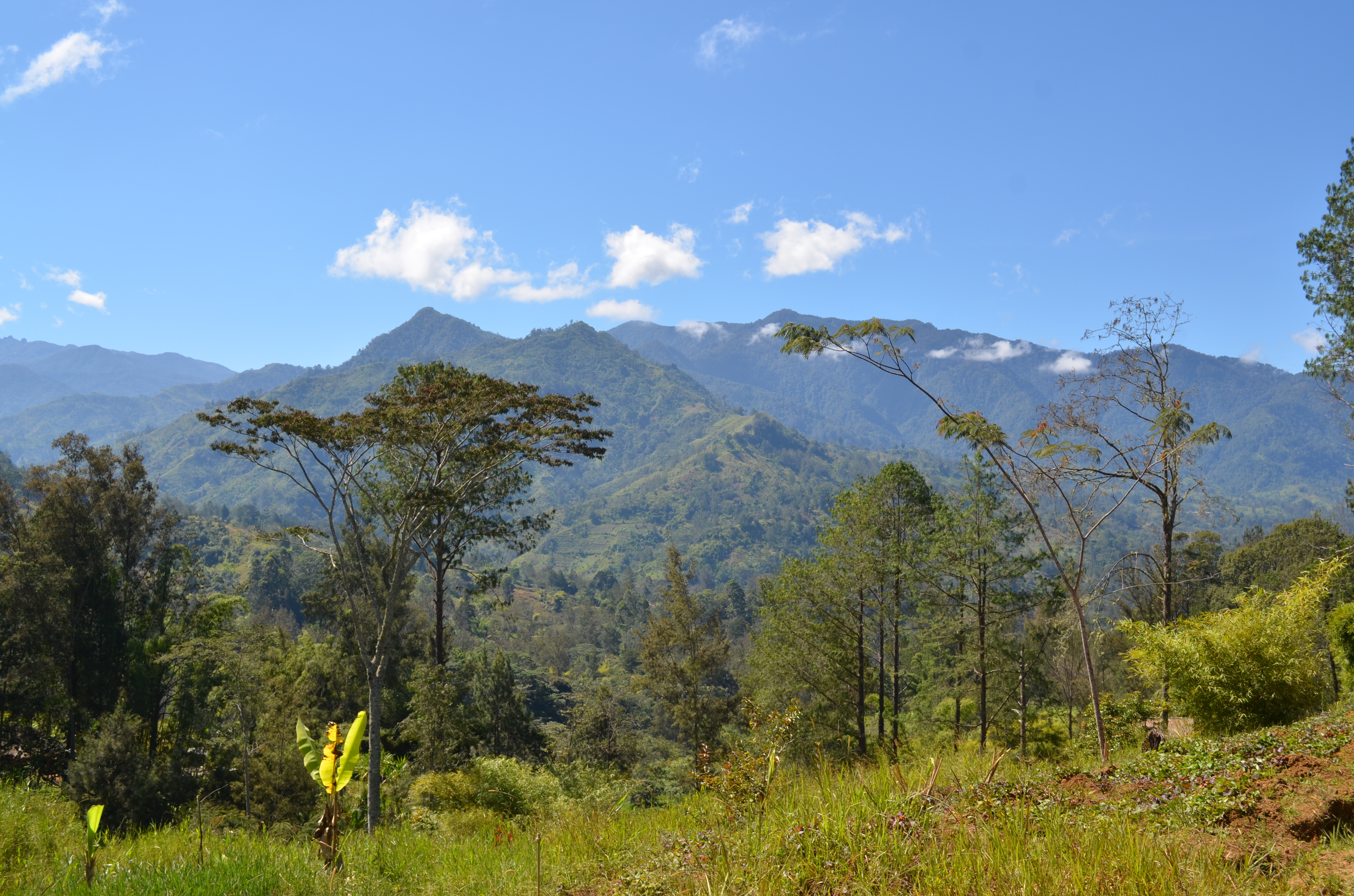 In the highlands of Papua new Guinea.  Read about PNG on eGuide Travel