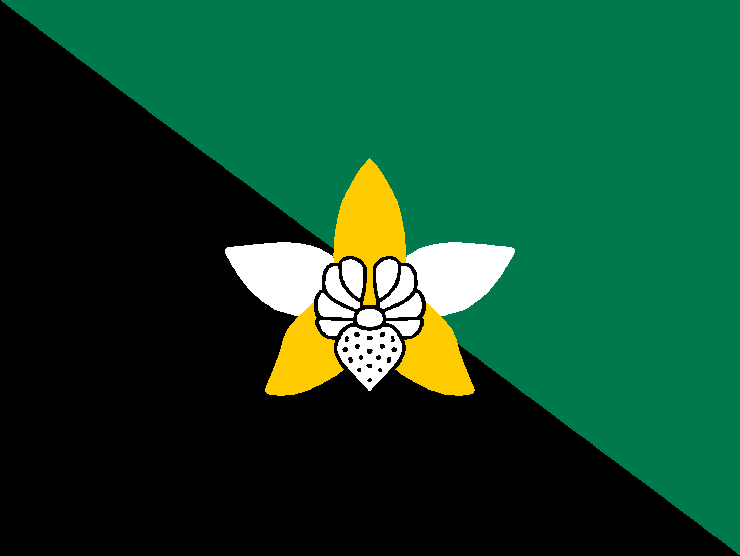 Flag of Enga, Papua New Guinea