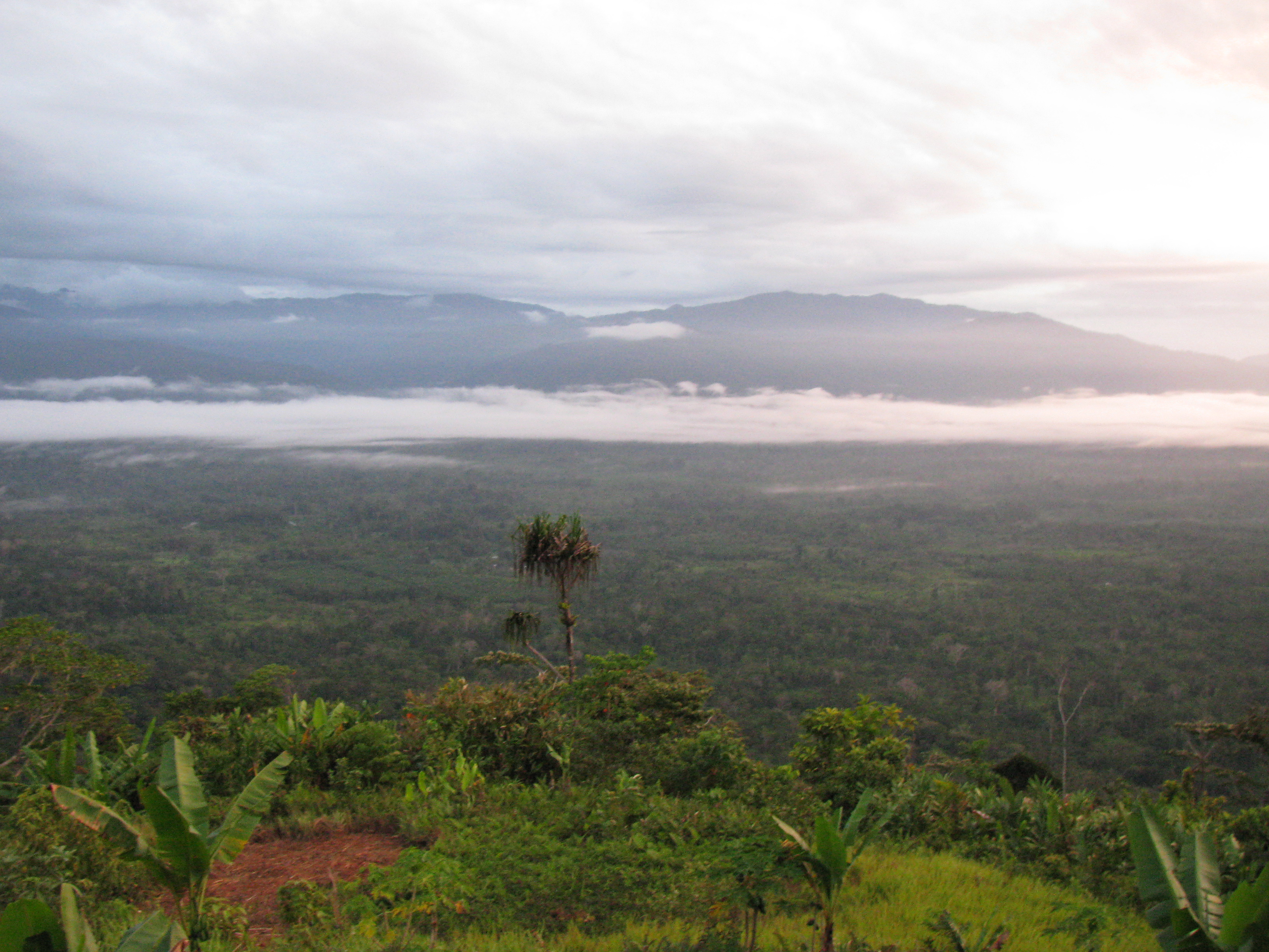 Early morning at Alola, Kokoda Track, Papua New Guinea. Photographed on Day 3 of Trek - 8 September 2008.