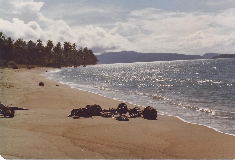 WWII remains on Buin NSP beach 1978