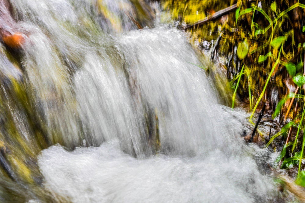 Ikogosi warm spring where hot water and cold water meets in  Ekiti State.