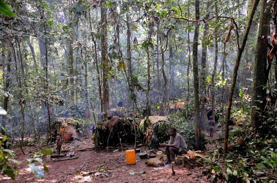 Bayaka people in the Dzanga Sangha Ndoki reserve. Central African Republic rainforest