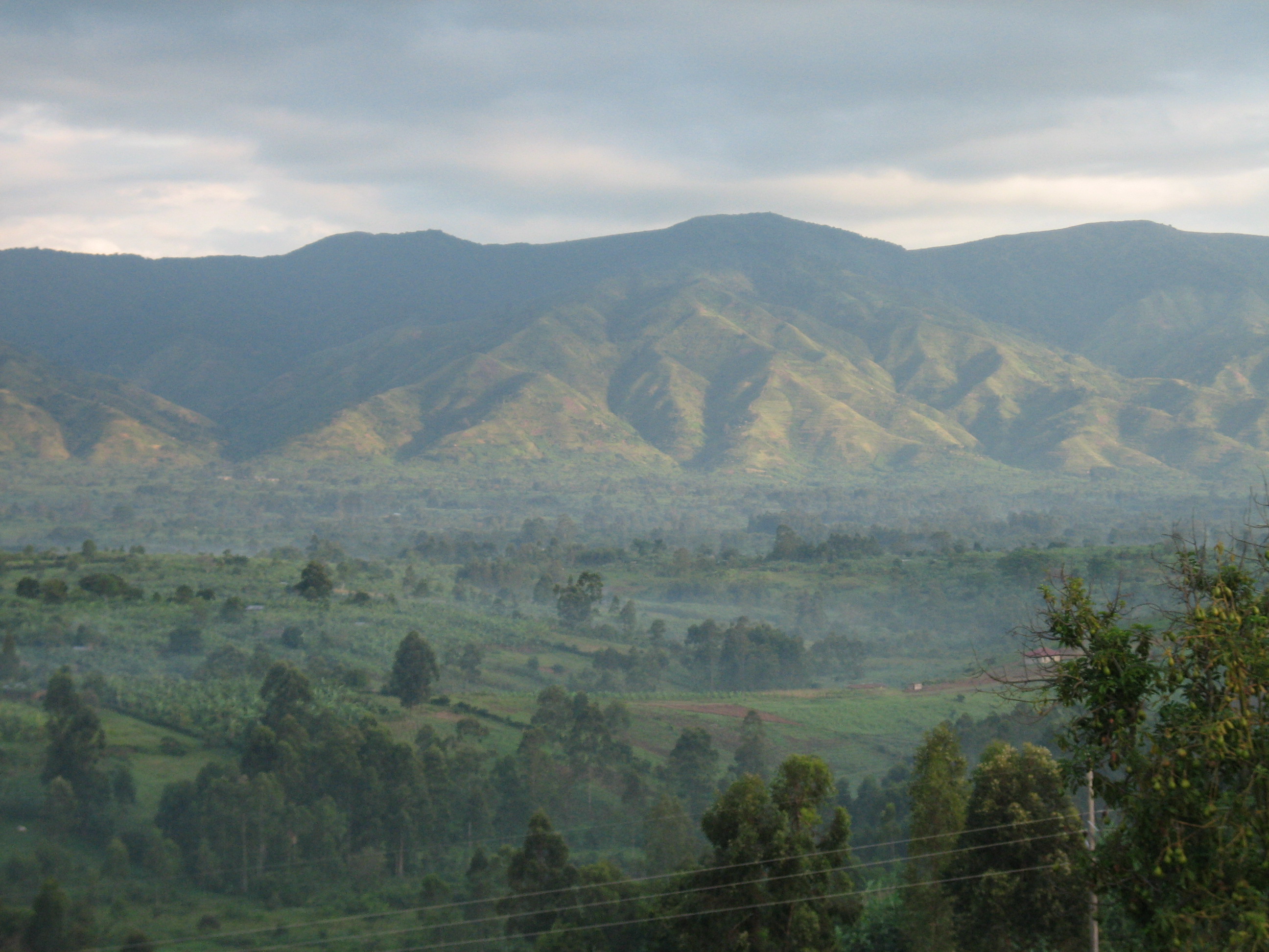 The Rwenzori Mountains and Great Rift Valley in the morning hours.
A few km's south of Fort Portal, in Rwenzori Mountains National Park, the Kabarole District, Western Uganda.