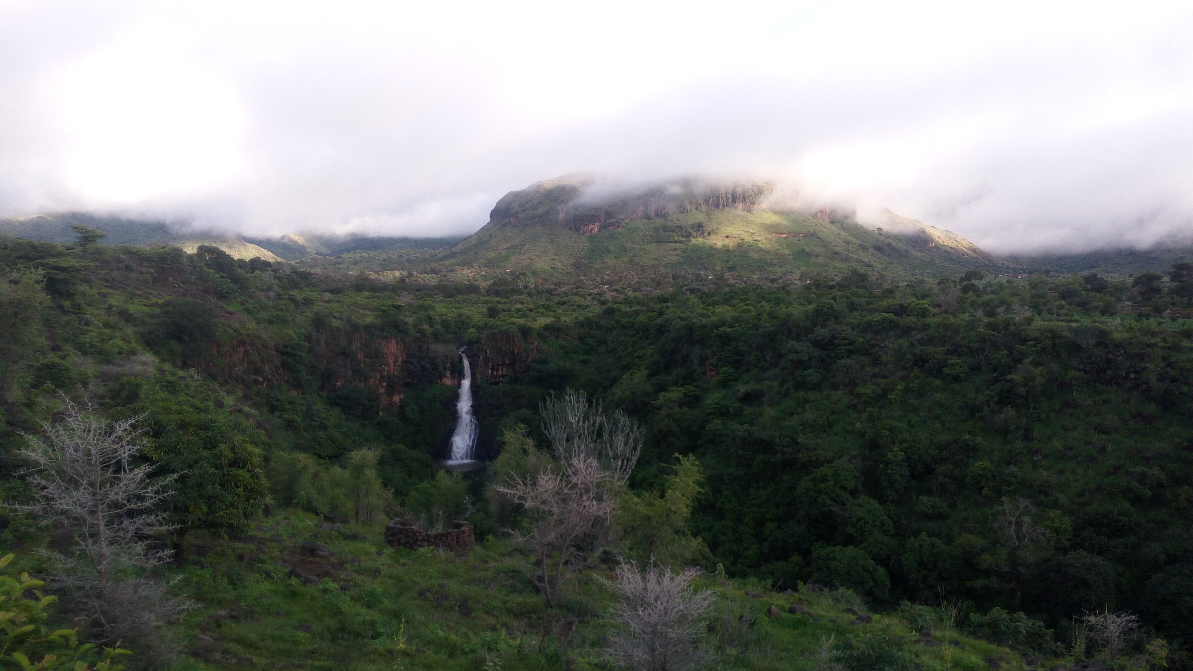 جبل مرة