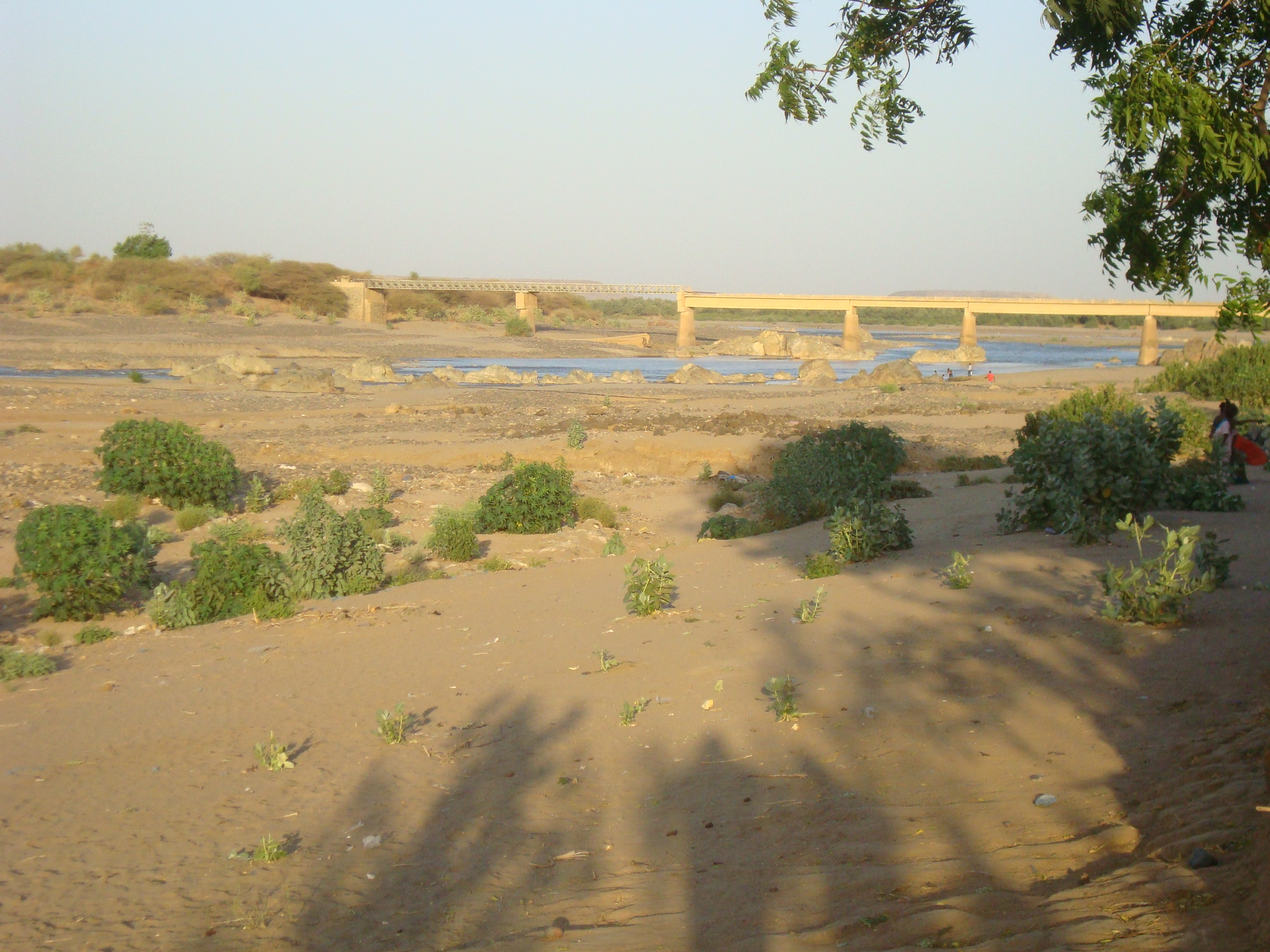 Humera in Tigray near the border with Sudan and Eritrea