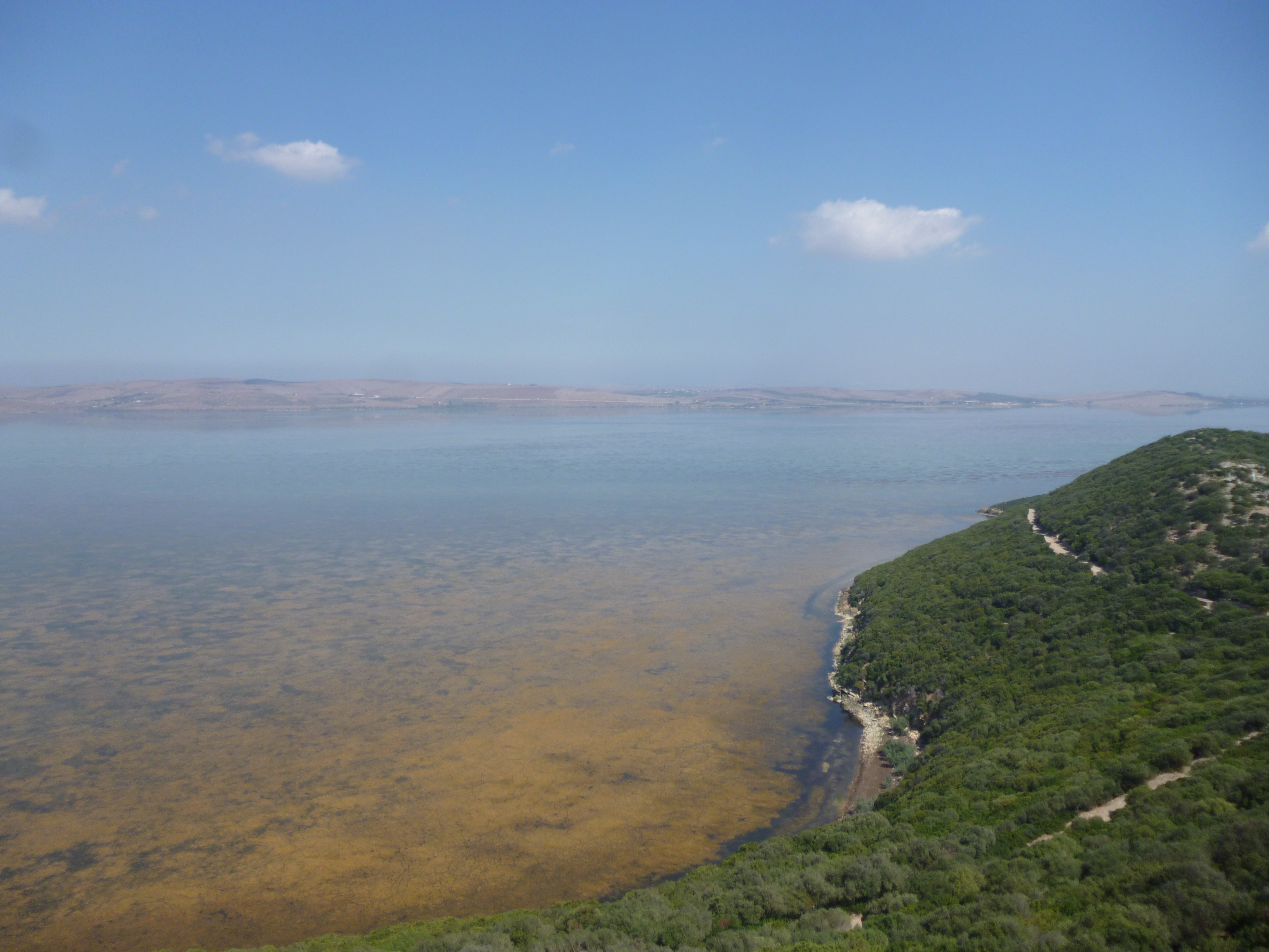 Ichkeul National Park