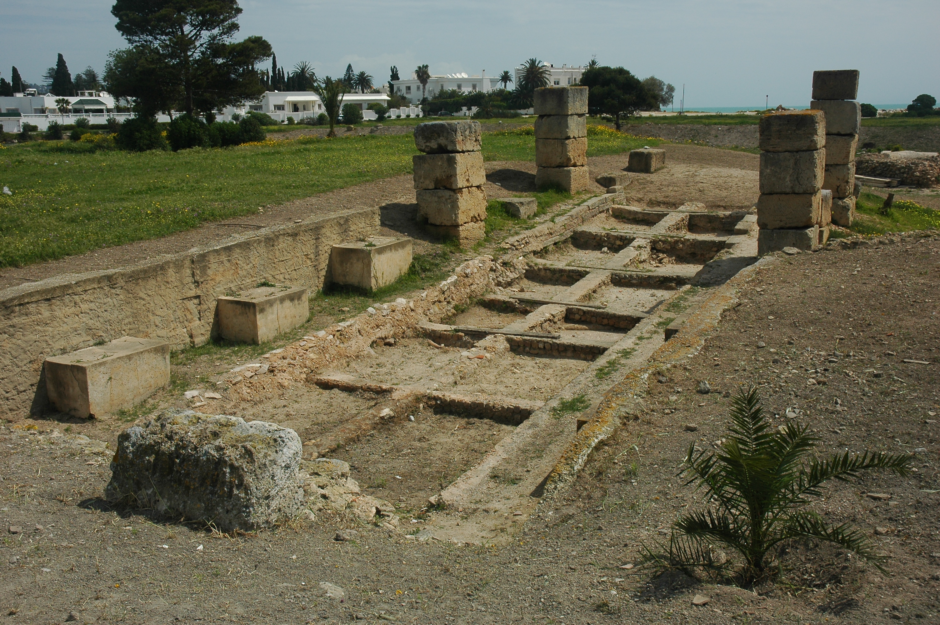 Port de Carthage Tunisie