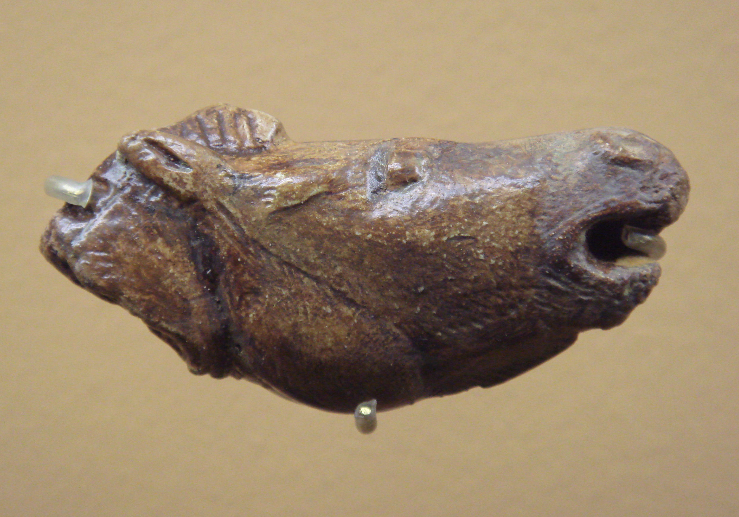 Mas d'Azil, France. Tête de cheval, bois ou os de cervidé ; Paléolithique. Musée d'archéologie nationale (Saint-Germain-en-Laye).