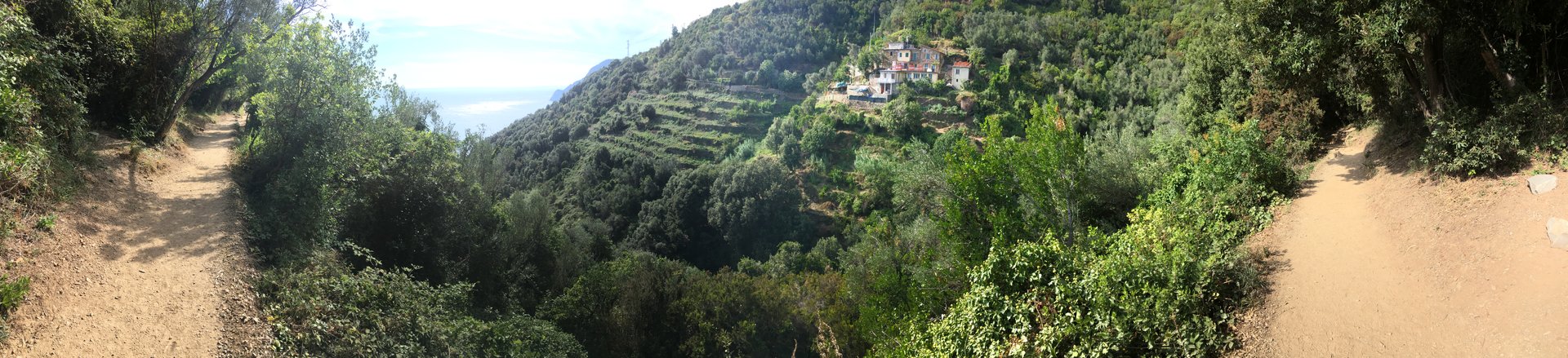 A panoramic view from the hiking trail between Vernazza and Monterosso al Mare, showing the trail itself, foliage, and the terraced landscape