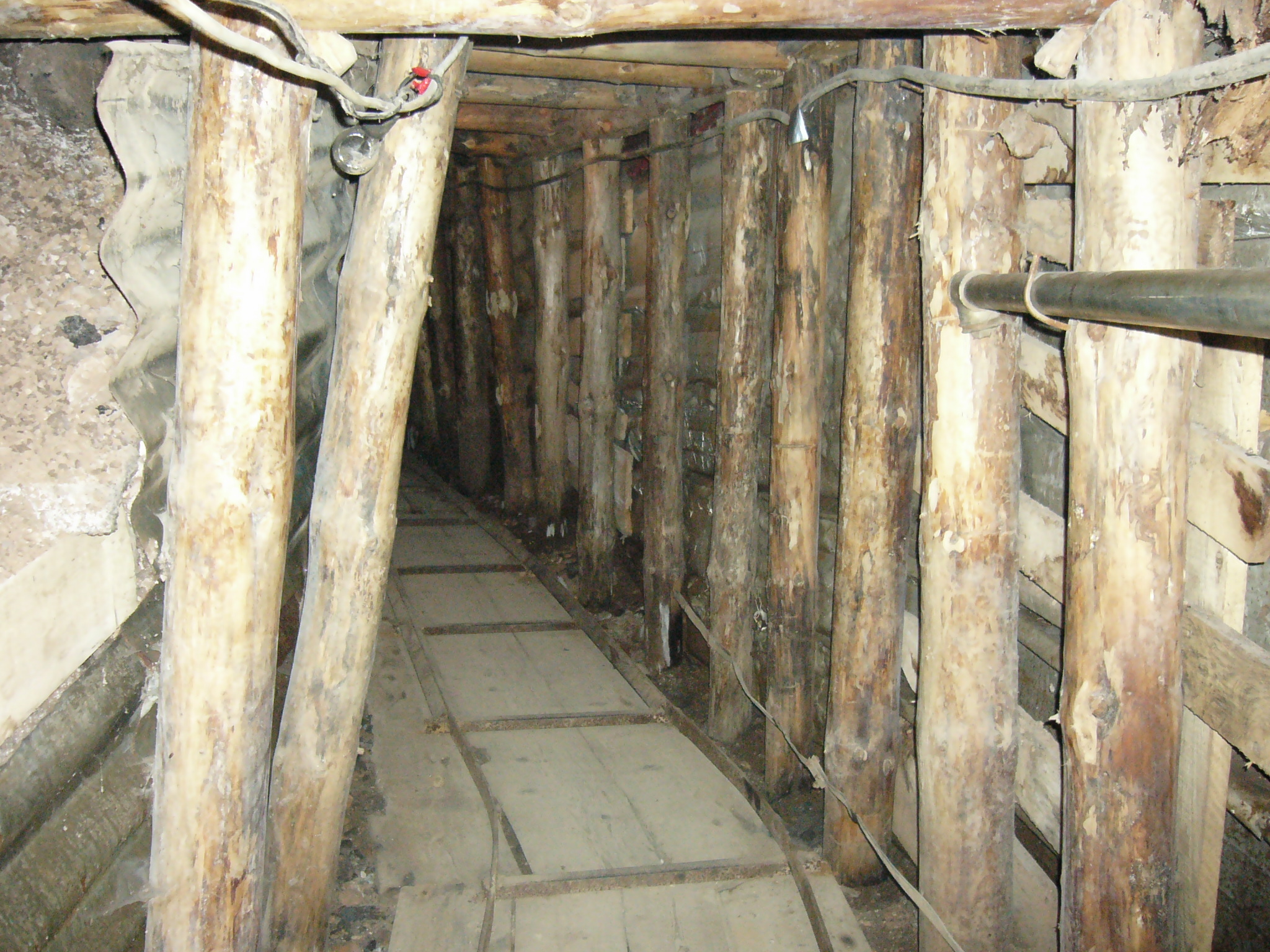 This tunnel is what helped the Bosnians survive during the siege of Sarajevo