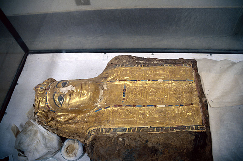 Mummy found in the Valley of the Golden Mummies, now in el-Bawiti museum, el-Bahriya, Libyan desert, Egypt