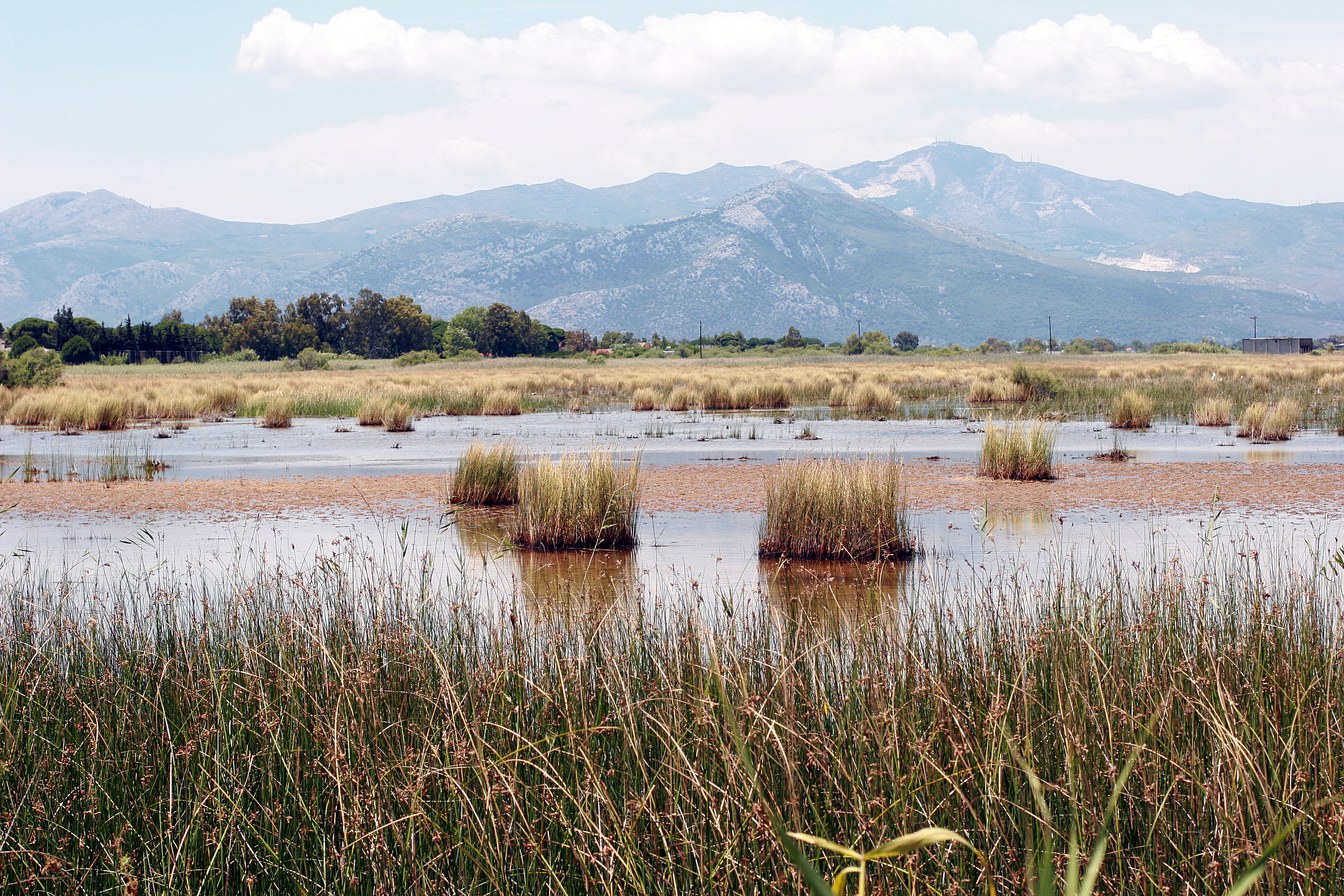 This is a a picture of a Natura 2000 protected area with ID