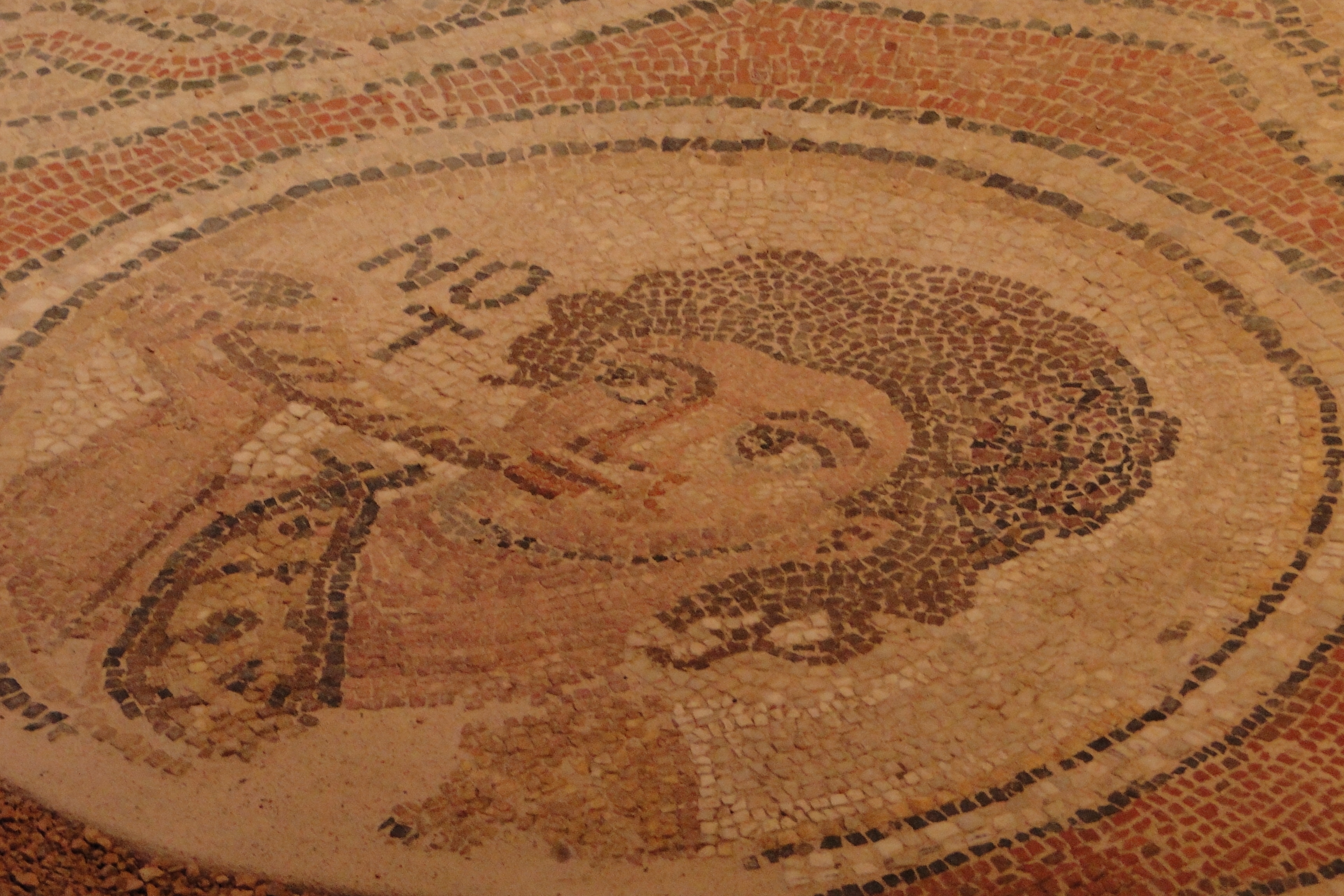 Deatil from a Late Roman mosaic floor from the reception room (triclinium) of a 5th-century house in Thessaloniki, 21 Aiolou Street. Museum of Byzantine Culture, Thessaloniki, Greece.