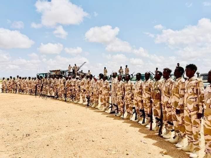 ssc forces in gumays