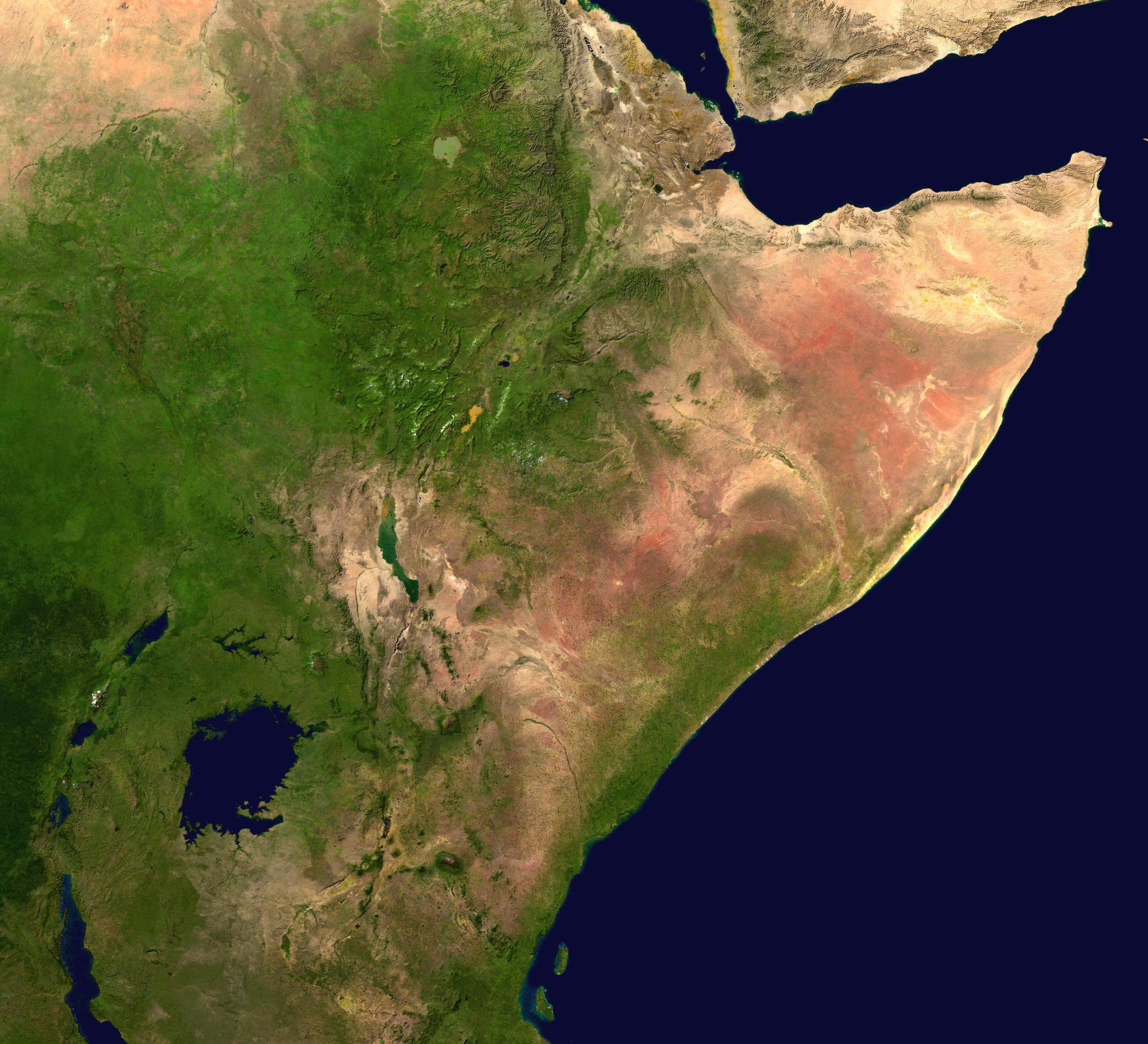Cropped from :Image:Africa satellite plane.jpg. A composed satellite photograph of Africa.