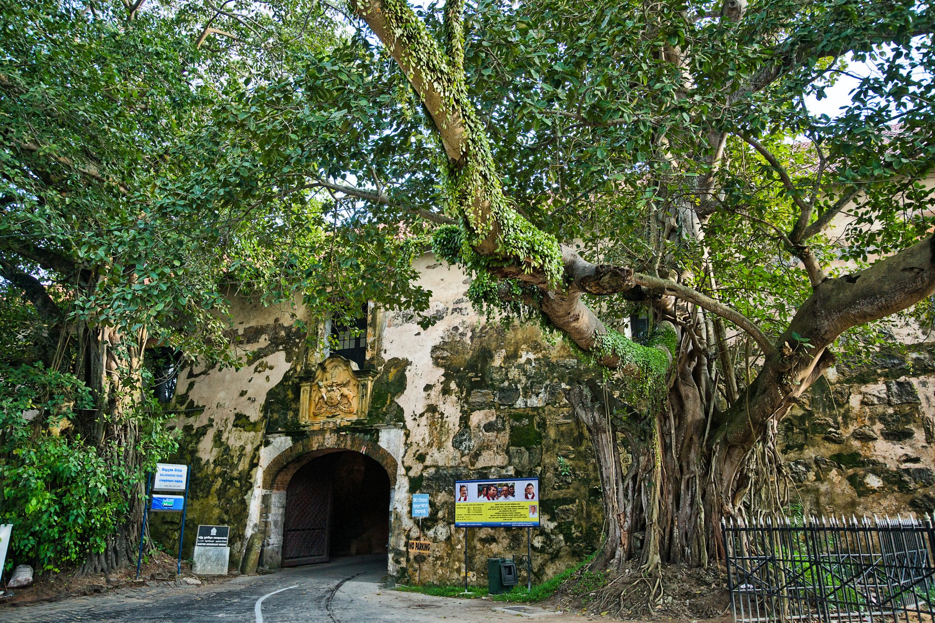 Sri Lanka, Southern Province. Main Gate to the Galle Fort, with huge Strangler Figs/ Banyan Trees beside. Photographed December 2011